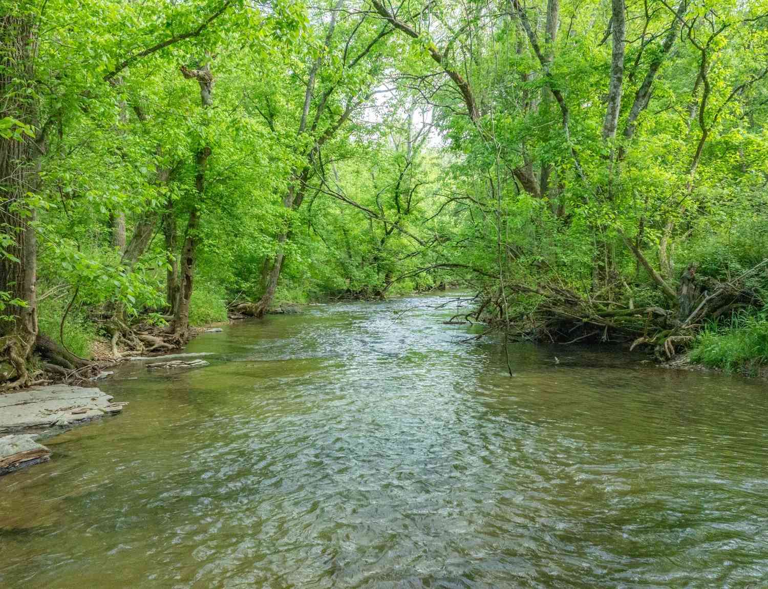 Vacant Land For Sale - Snow Creek Rd<br/> Santa Fe, TN 38482