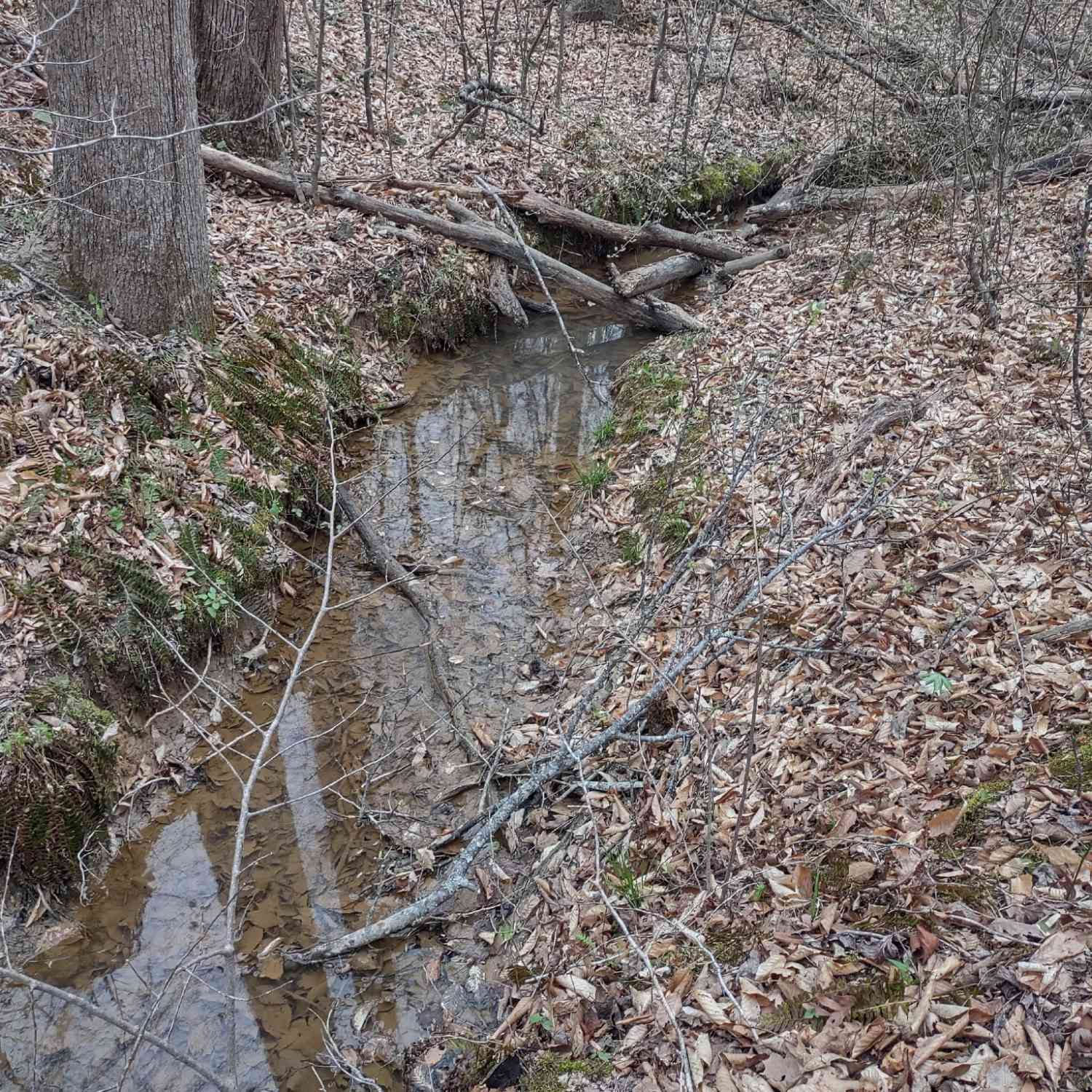 Vacant Land For Sale - Hwy 114 W<br/> Scotts Hill, TN 38374