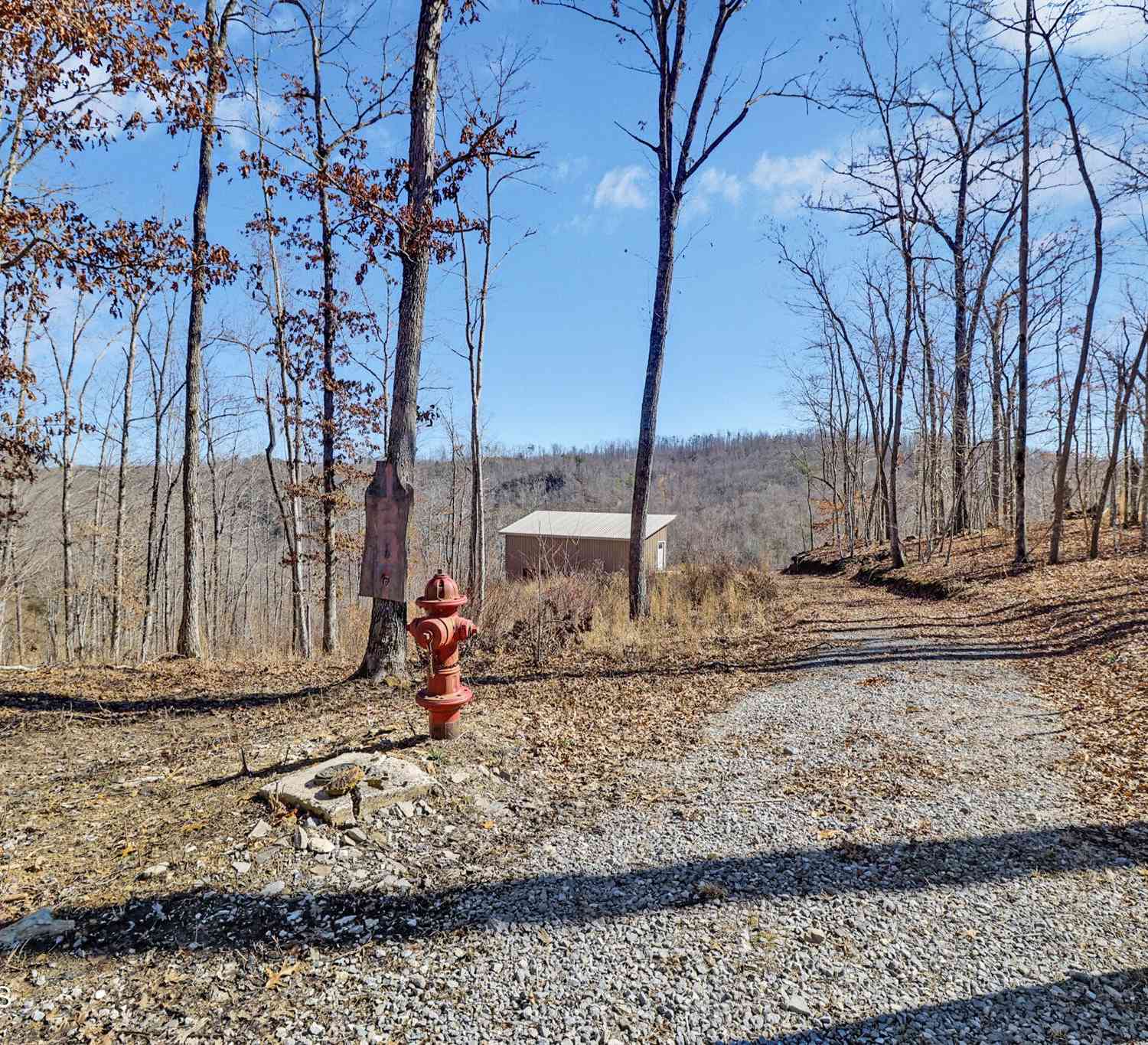 Vacant Land For Sale - 1291 Buck Lane<br/> Crawford, TN 38554