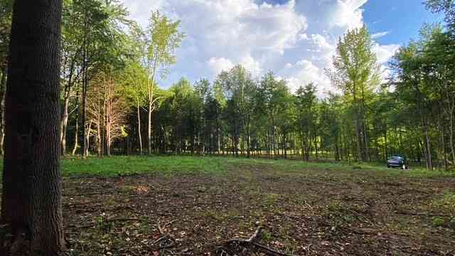 Vacant Land For Sale - 7870 Bill Moss Rd<br/> Robertson County County, White House, TN 37188