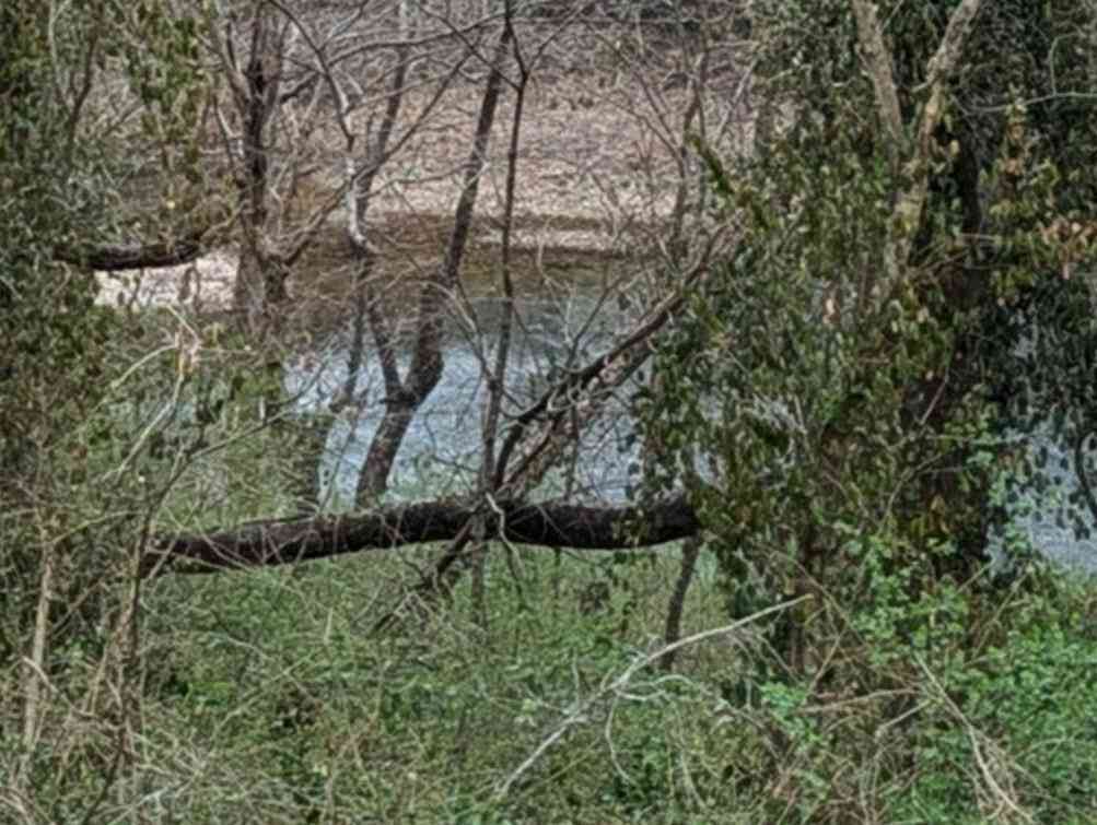 Vacant Land For Sale - 212 Bluff Street<br/> Warren County County, McMinnville, TN 37110