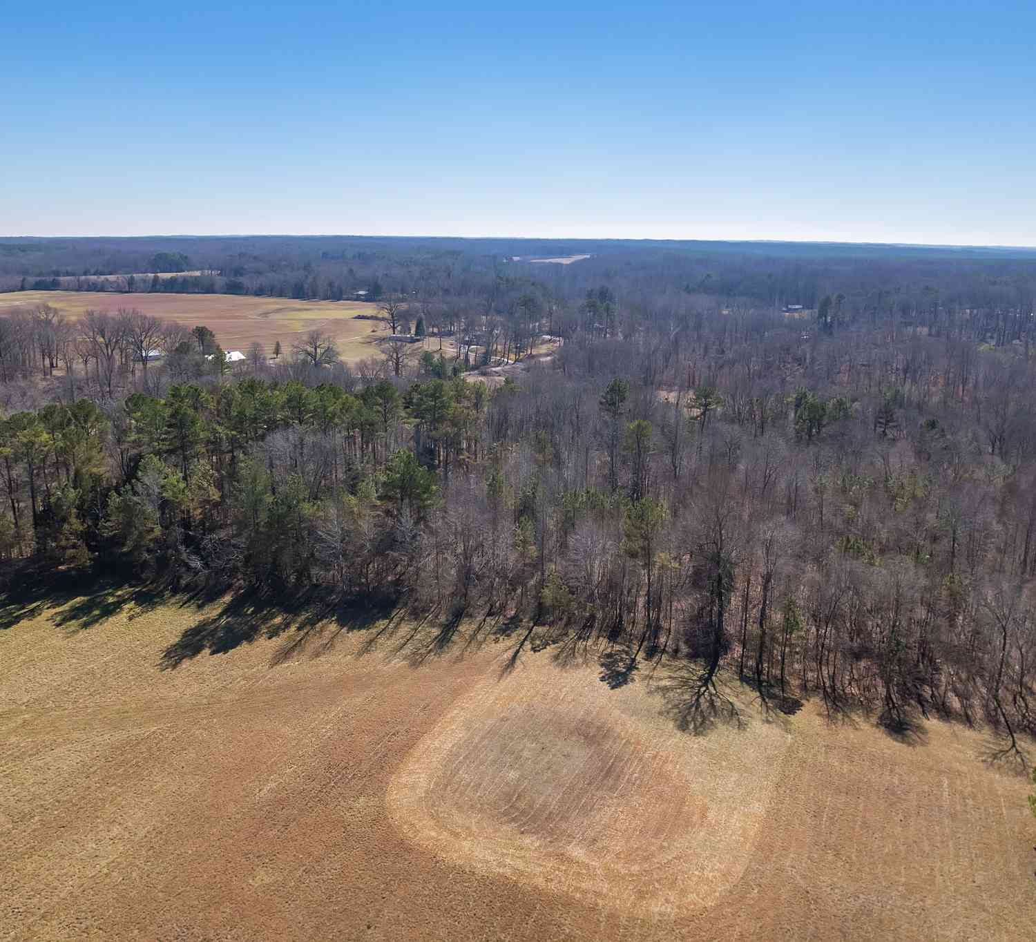 Vacant Land For Sale - Medon Malesus Road<br/> Madison County County, Medon, TN 38356