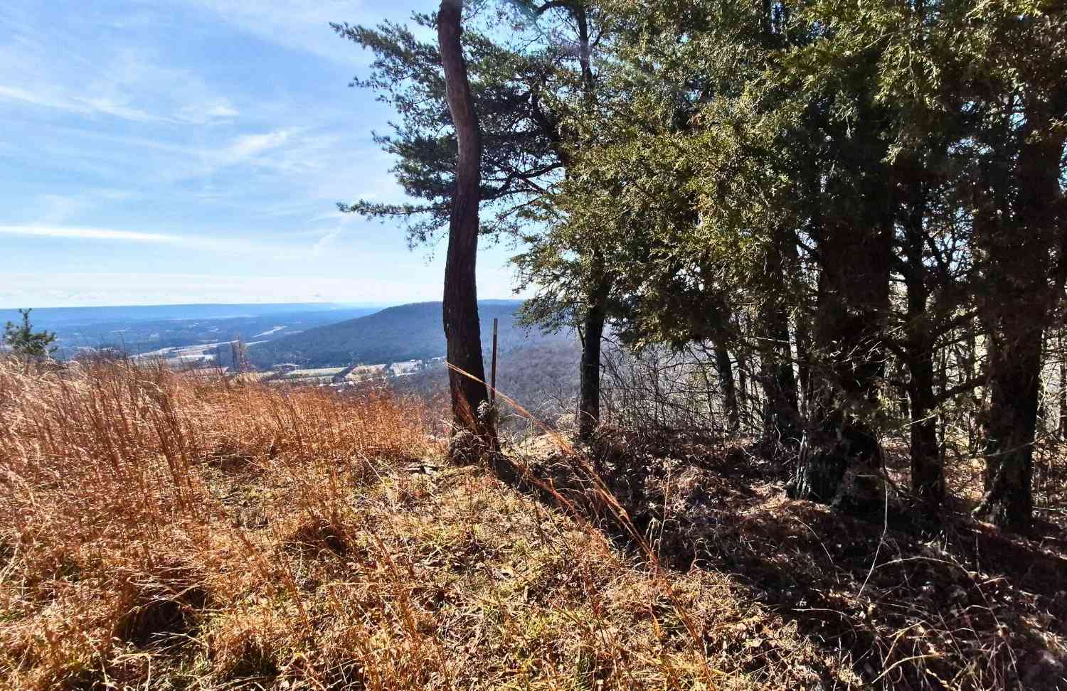 Vacant Land For Sale - 9 Lodge Point Road<br/> Marion County County, South Pittsburg, TN 37380