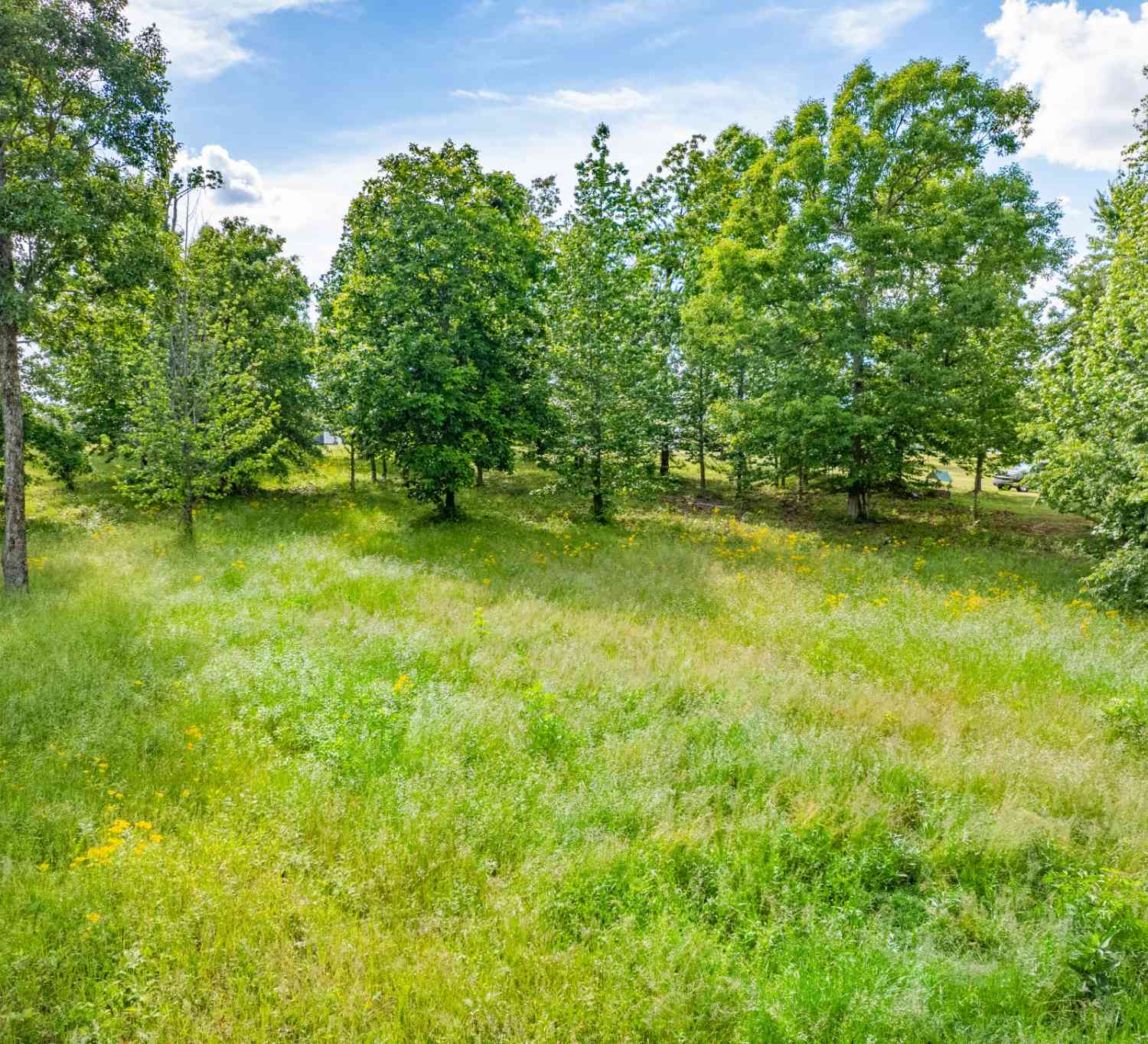 Homes For Sale - Wyshema Court<br/> Lawrence County County, Mount Pleasant, TN 38474