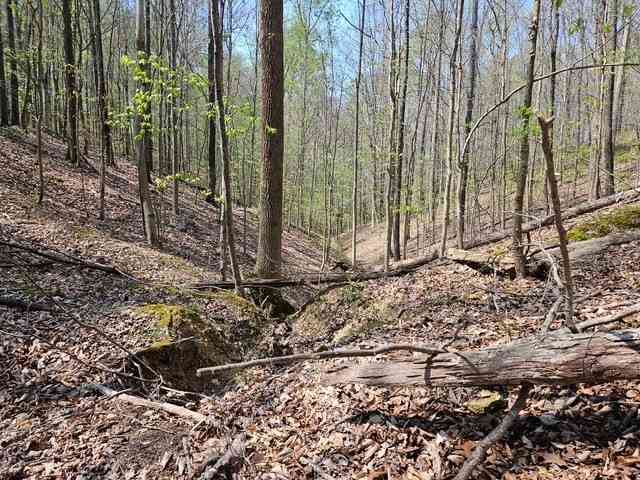 Vacant Land For Sale - 5 Acres Benton Tidwell Rd<br/> Hilham, TN 38568