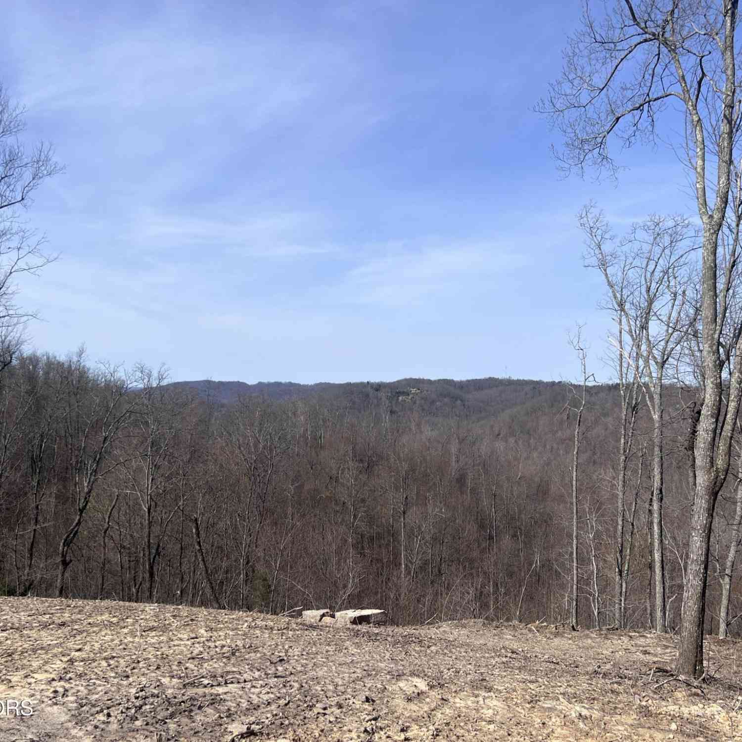 Vacant Land For Sale - 4575 Upper Crab Rd<br/> Jamestown, TN 38556