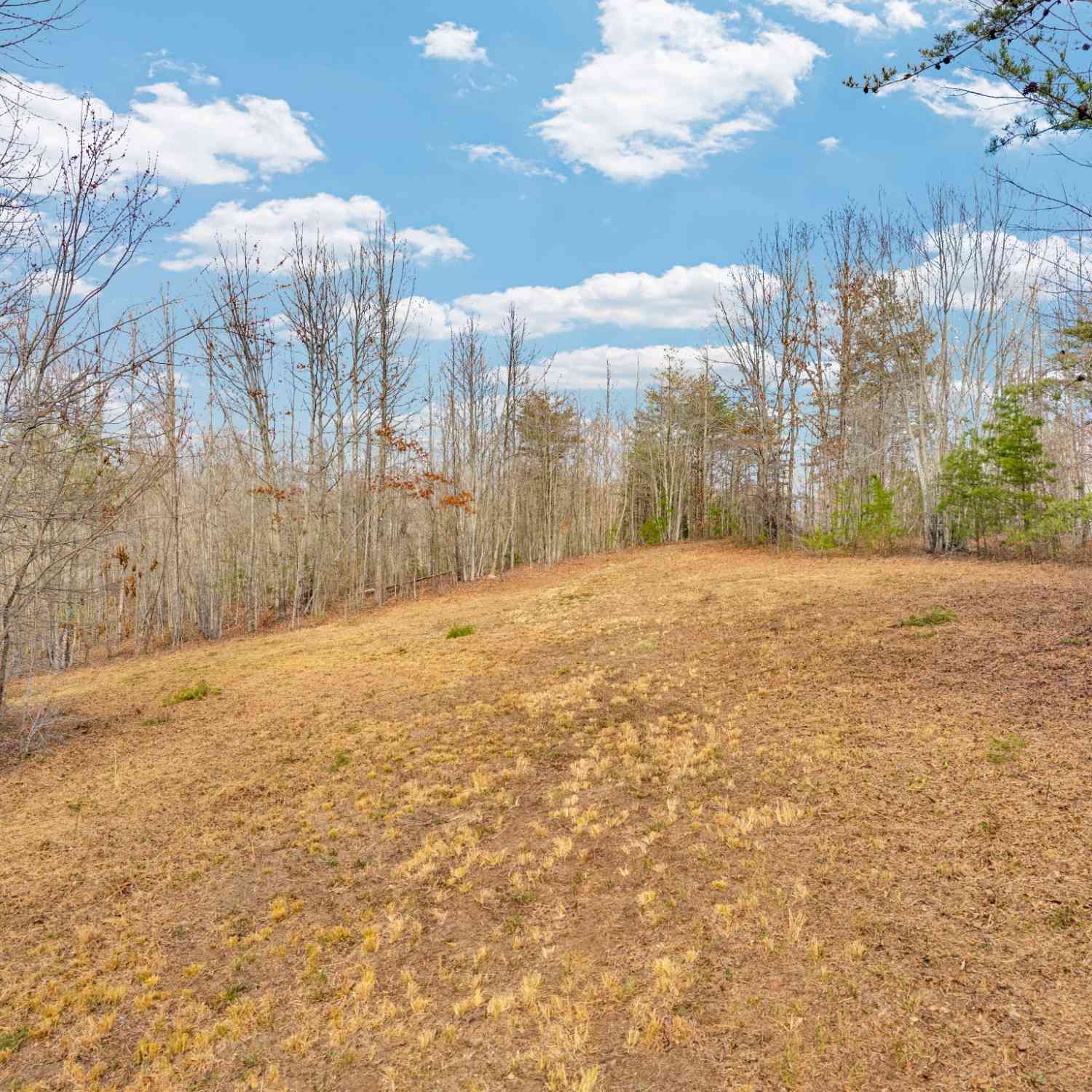 Vacant Land For Sale - Soak Creek Ln<br/> Grandview, TN 37337