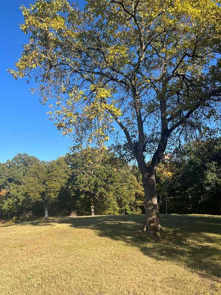 Vacant Land For Sale - 1486 Cedar Grove Rd<br/> Big Sandy, TN 38221