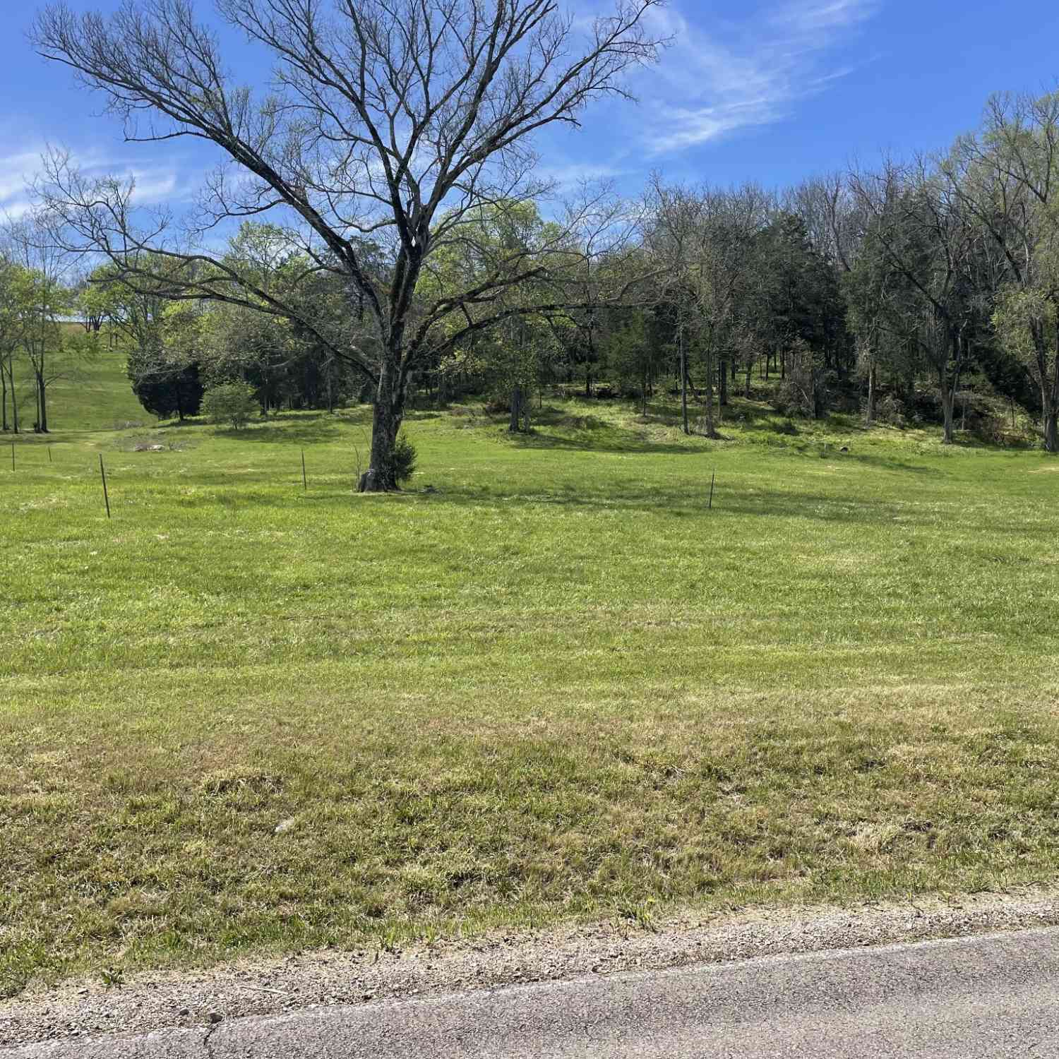 Vacant Land For Sale - 9 Gaskill Branch Rd<br/> Santa Fe, TN 38482