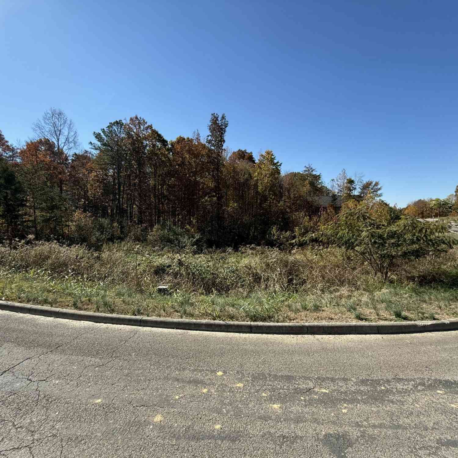 Vacant Land For Sale - Shadows Lawn Drive<br/> Athens, TN 37303