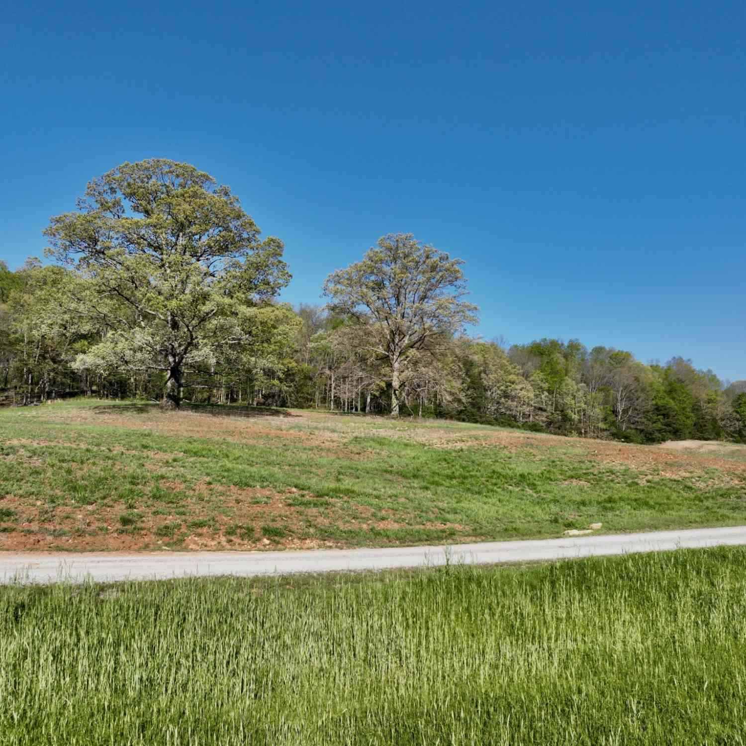 Vacant Land For Sale - 1 Russell Rd<br/> Van Buren County, Rock Island, TN 38581