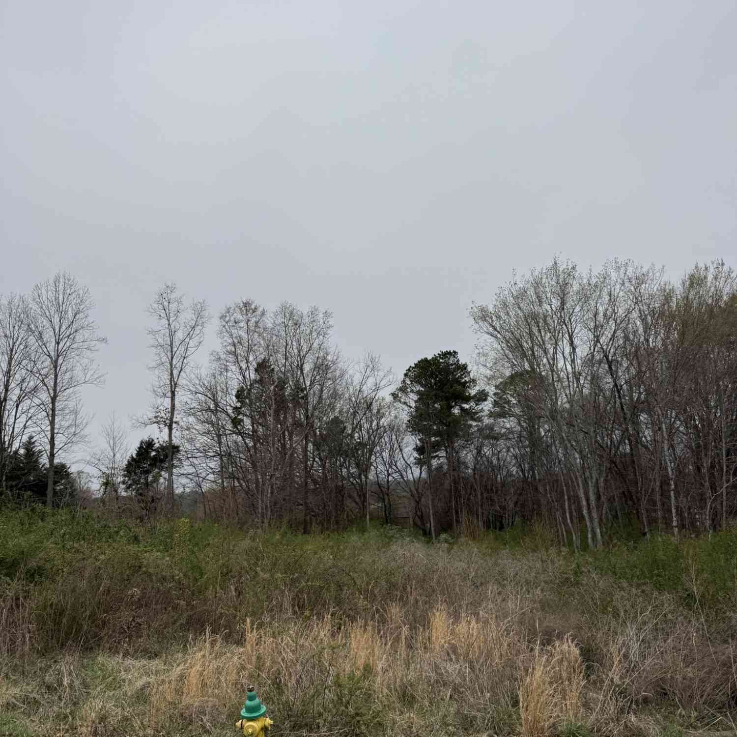 Vacant Land For Sale - 112 Shadows Lawn<br/> Athens, TN 37303