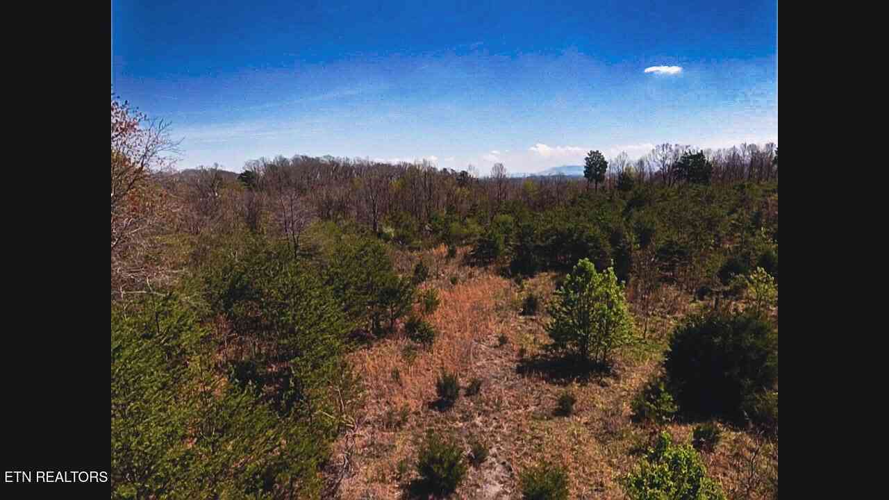 Vacant Land For Sale - 317 Mountain View Drive<br/> Vonore, TN 37885