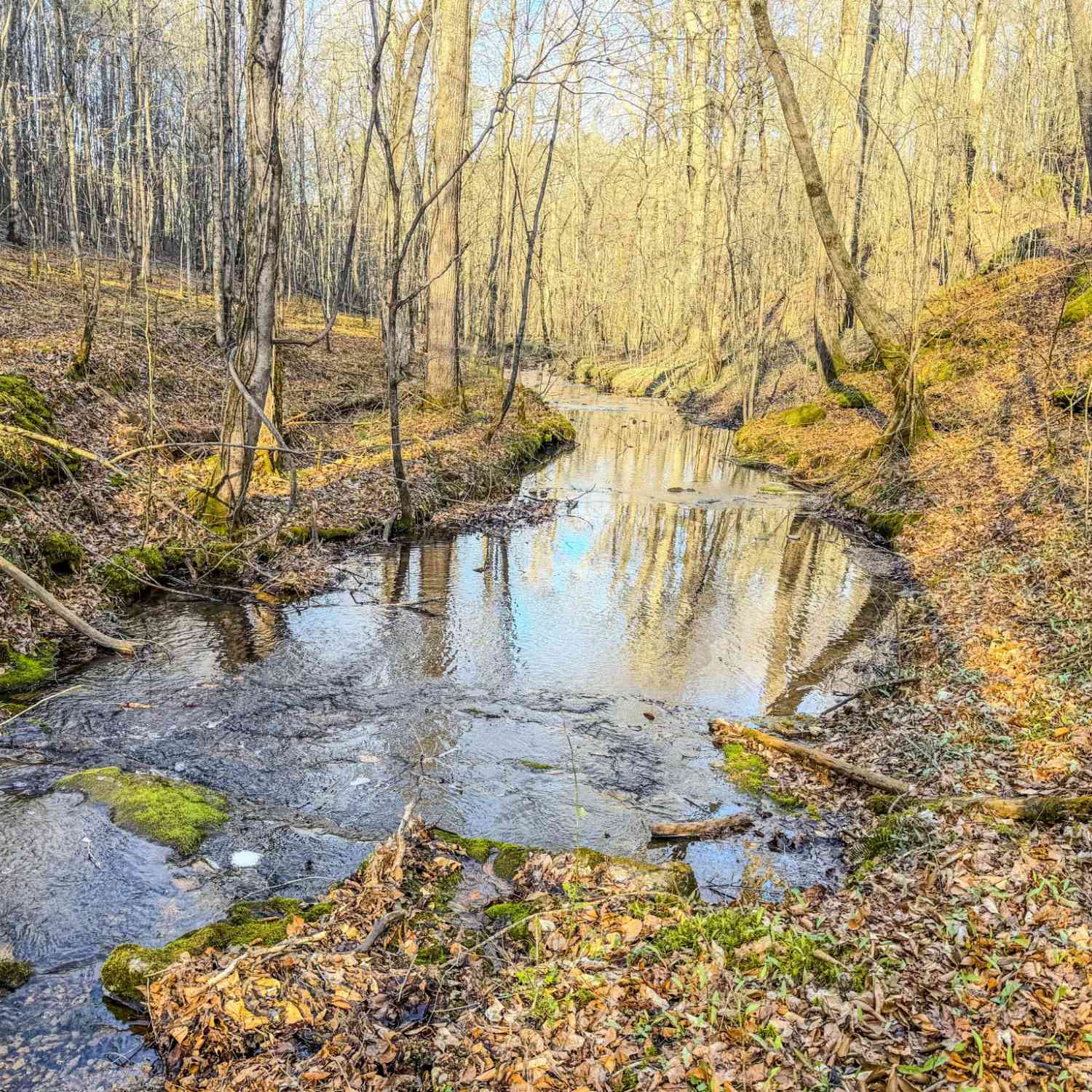 Vacant Land For Sale - Bryant Boswell Rd<br/> Westpoint, TN 38486