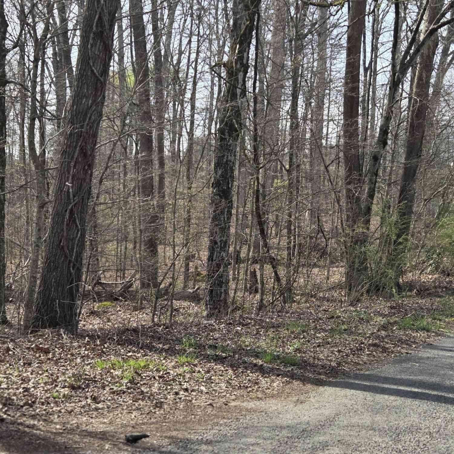 Vacant Land For Sale - 3 Lowery Road<br/> Ocoee, TN 37361