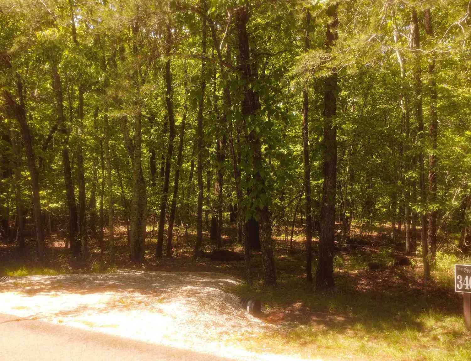 Vacant Land For Sale - 1188 Timberwood Trce<br/> Monteagle, TN 37356