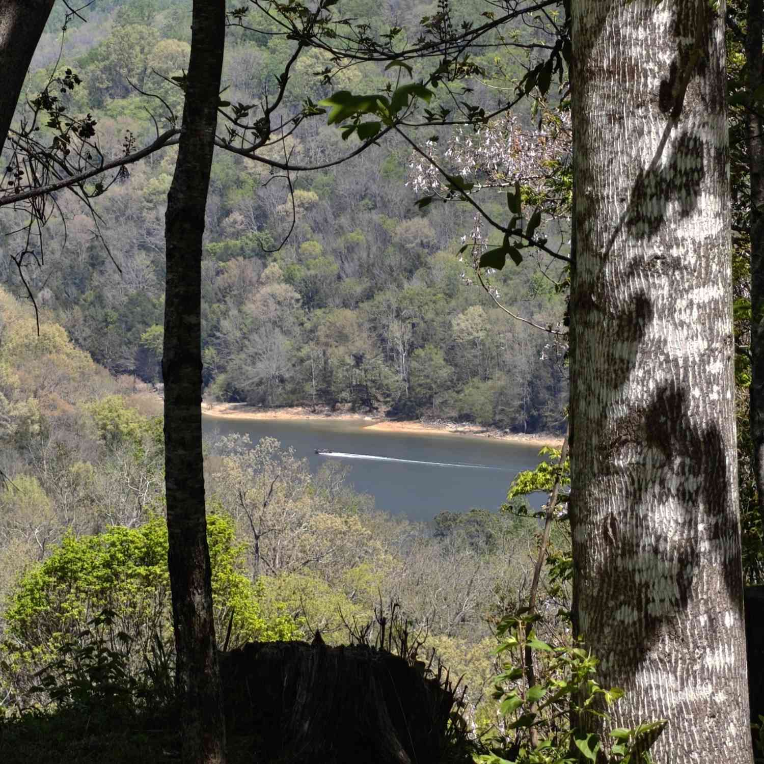 Vacant Land For Sale - Halls Hill Rd<br/> Dekalb County, Smithville, TN 37166