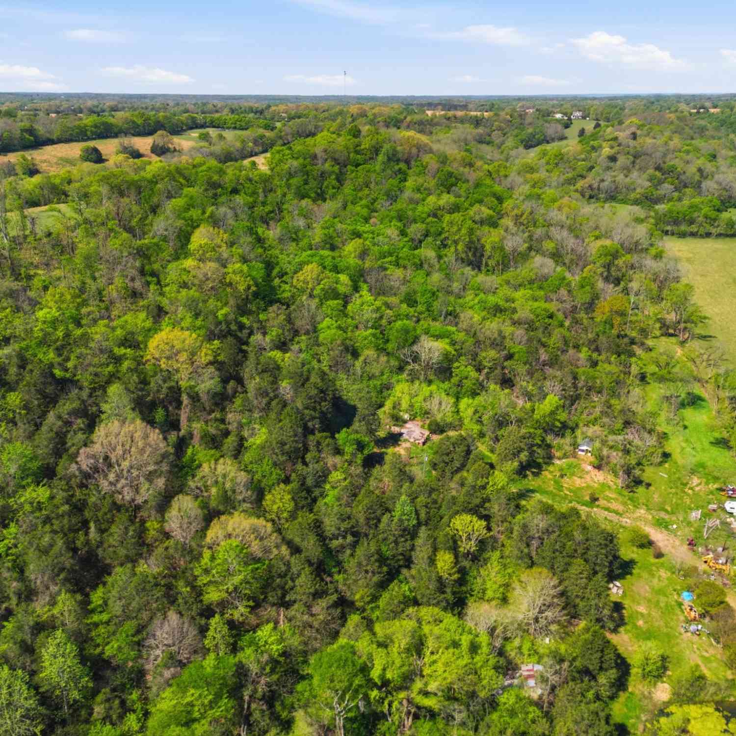 Vacant Land For Sale - 66 Thompson Hollow Rd<br/> Taft, TN 38488