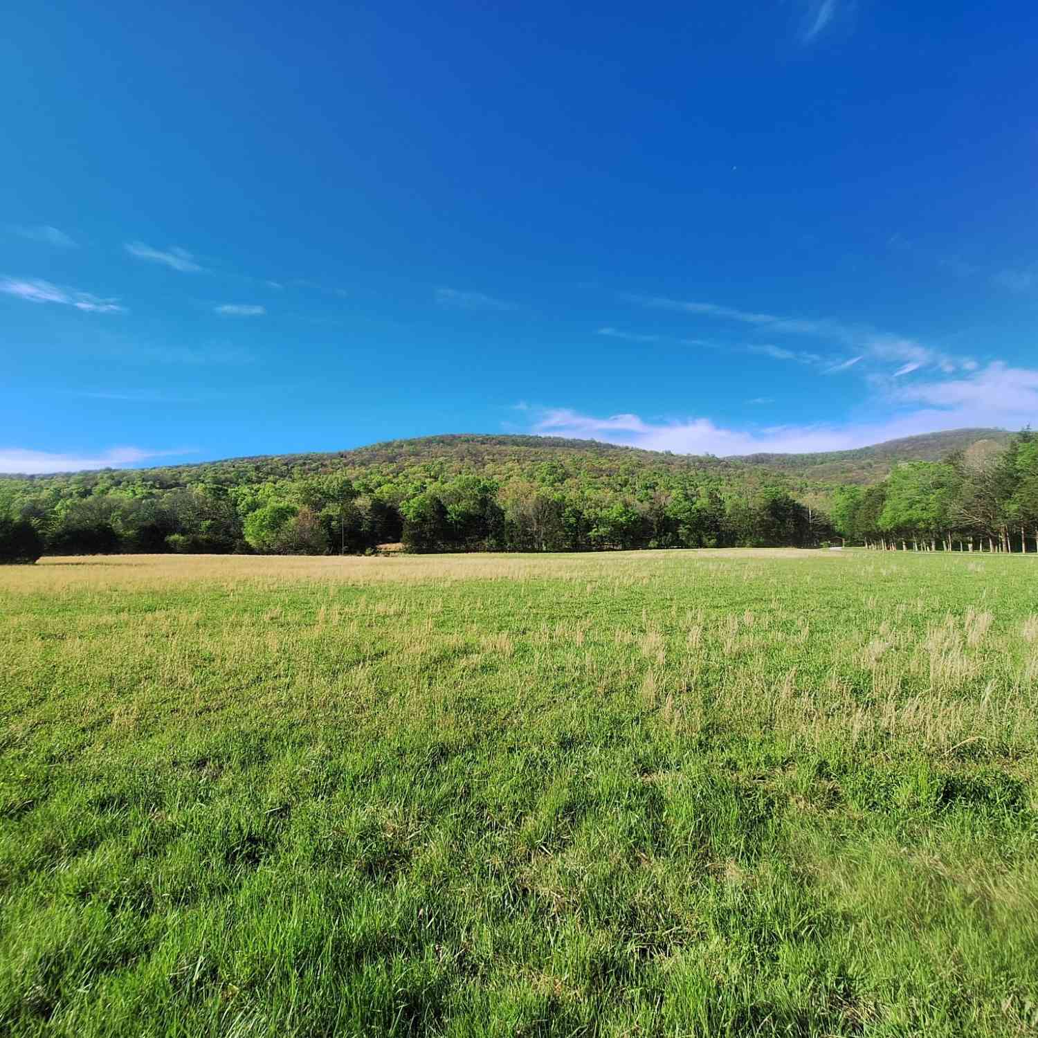 Vacant Land For Sale - Hawkins Cove Rd<br/> Cowan, TN 37318