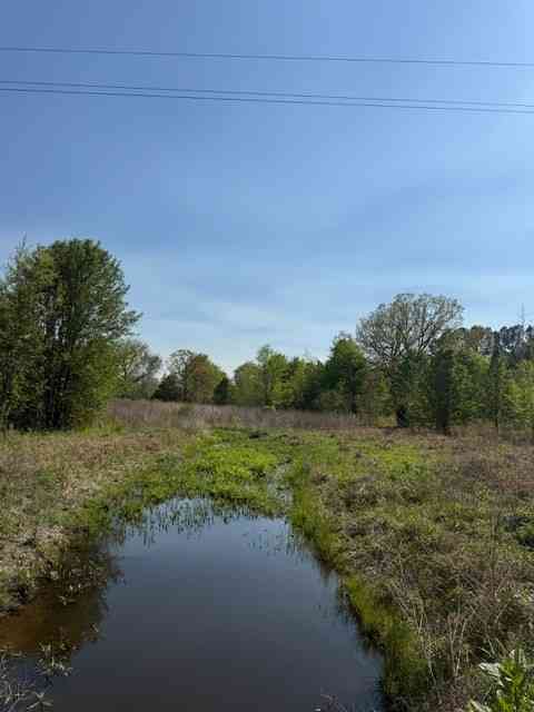 Homes For Sale - 185 Scott Orchard Rd<br/> Taft, TN 38488