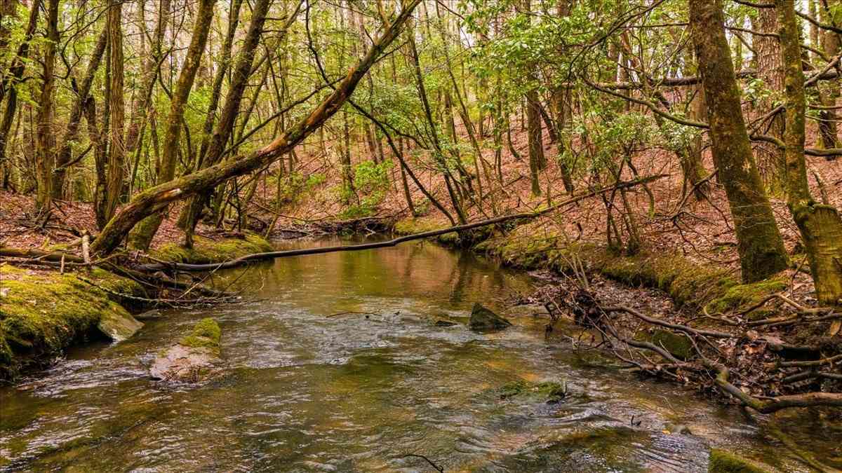 Vacant Land For Sale - Timberwood Trce<br/> Monteagle, TN 37356