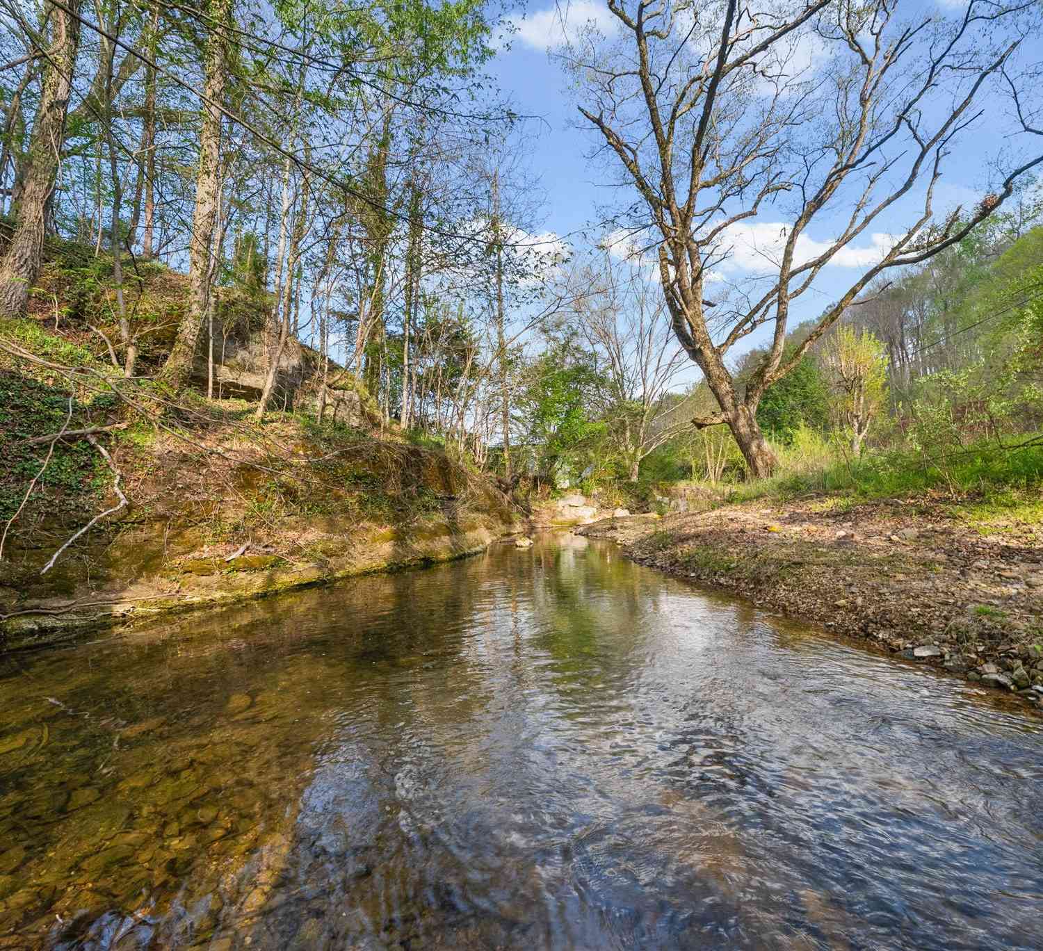 Vacant Land For Sale - 1 Bud Parker Lane<br/> Erin, TN 37061
