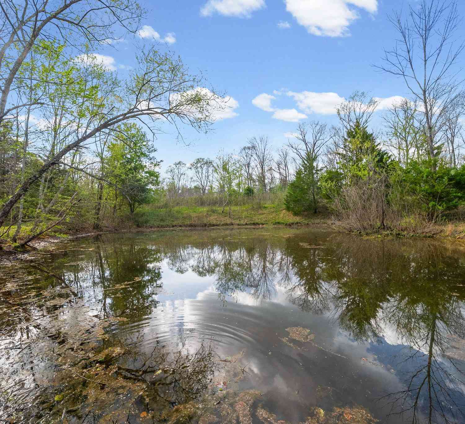 Vacant Land For Sale - 2 Bud Parker Lane<br/> Erin, TN 37061