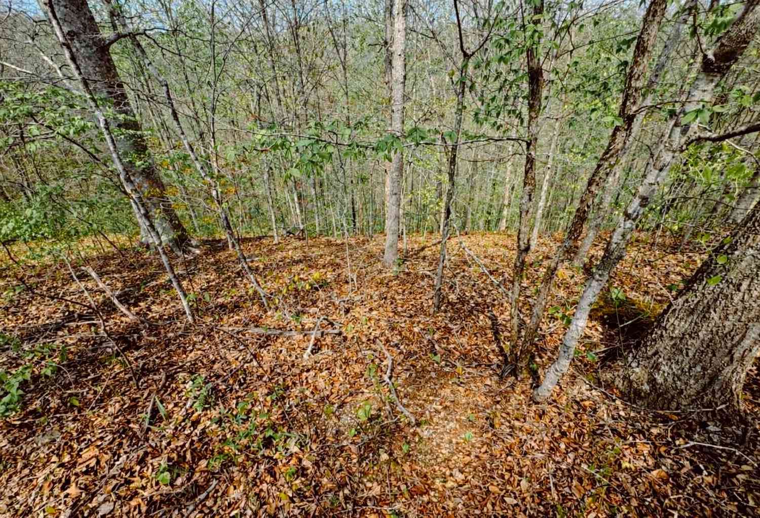 Vacant Land For Sale - Holiday Haven Dr<br/> Dekalb County, Smithville, TN 37166