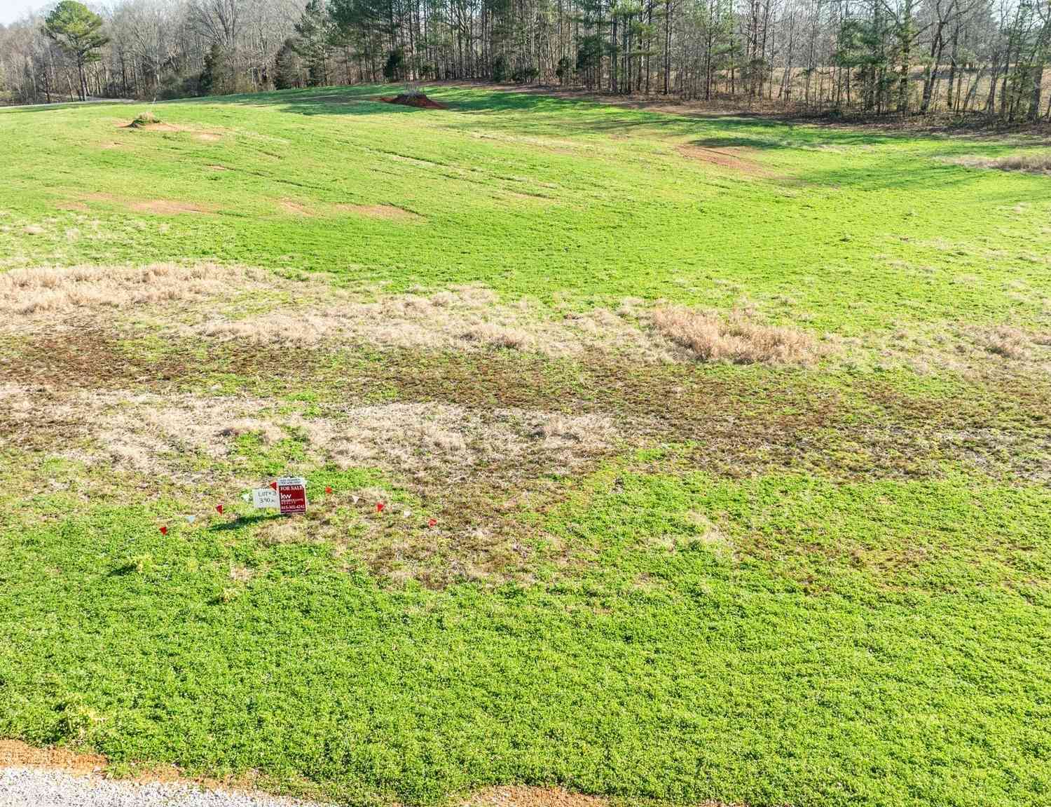 Vacant Land For Sale - Fall River Rd<br/> Leoma, TN 38468