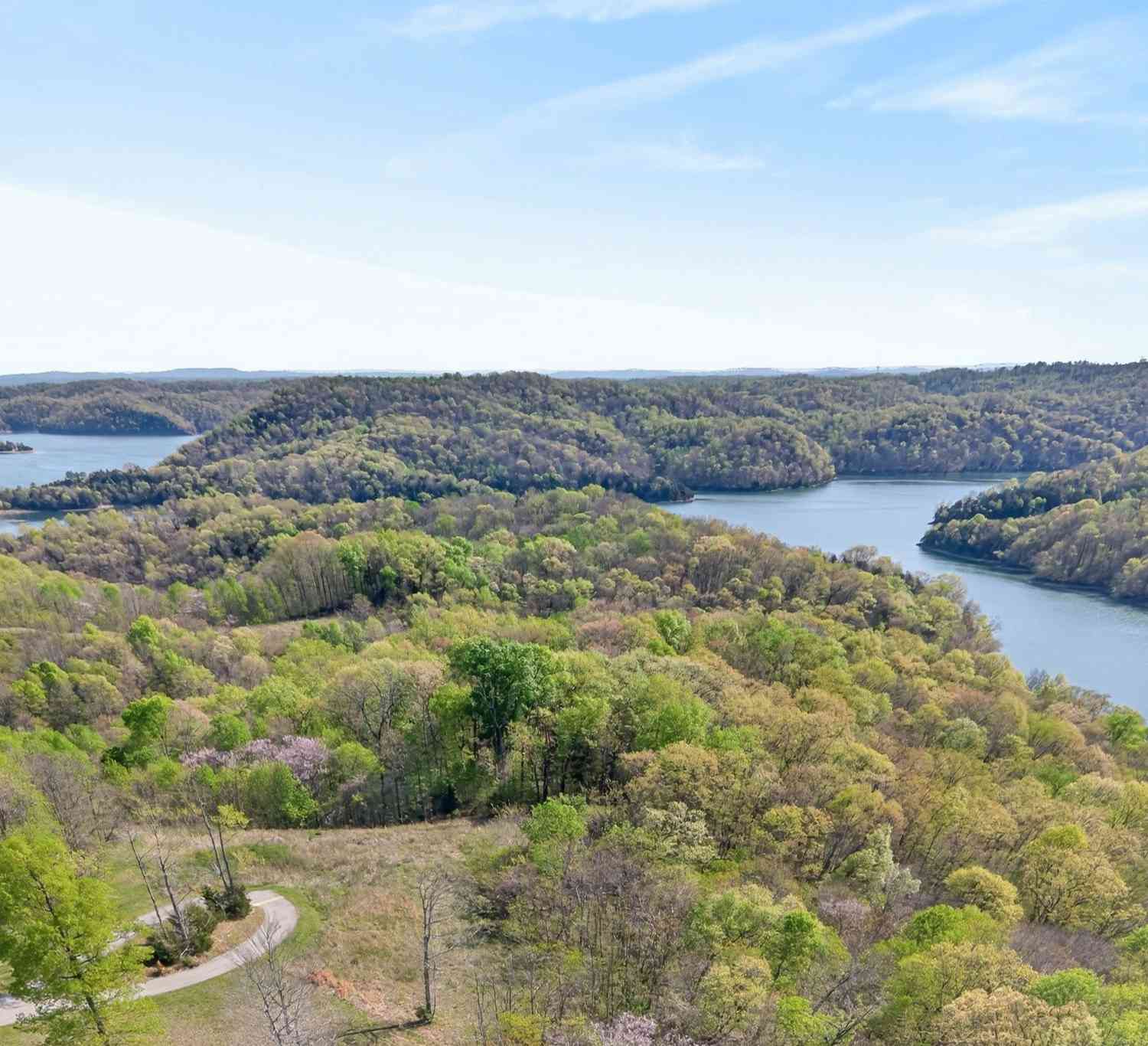 Vacant Land For Sale - Goose Road<br/> Hilham, TN 38568