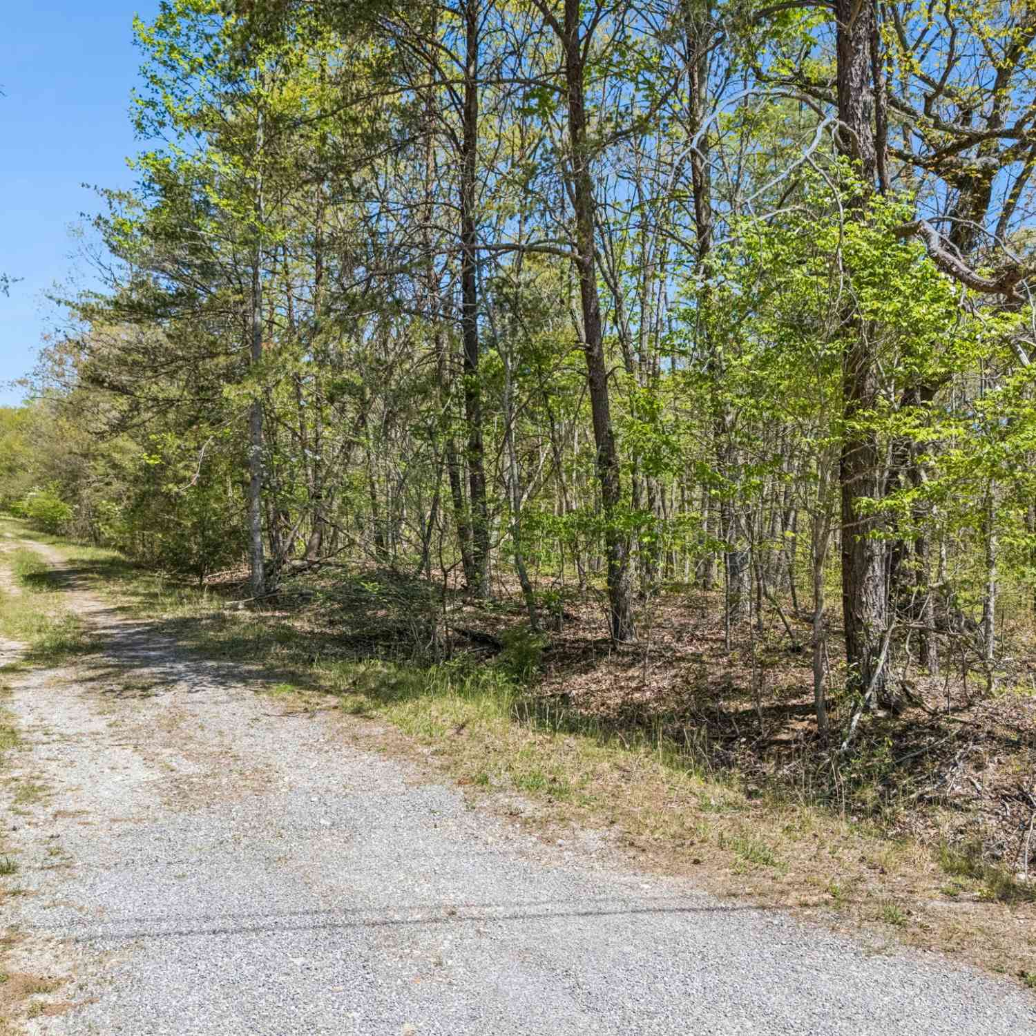 Vacant Land For Sale - 192 Albemarle Ln<br/> Crossville, TN 38558