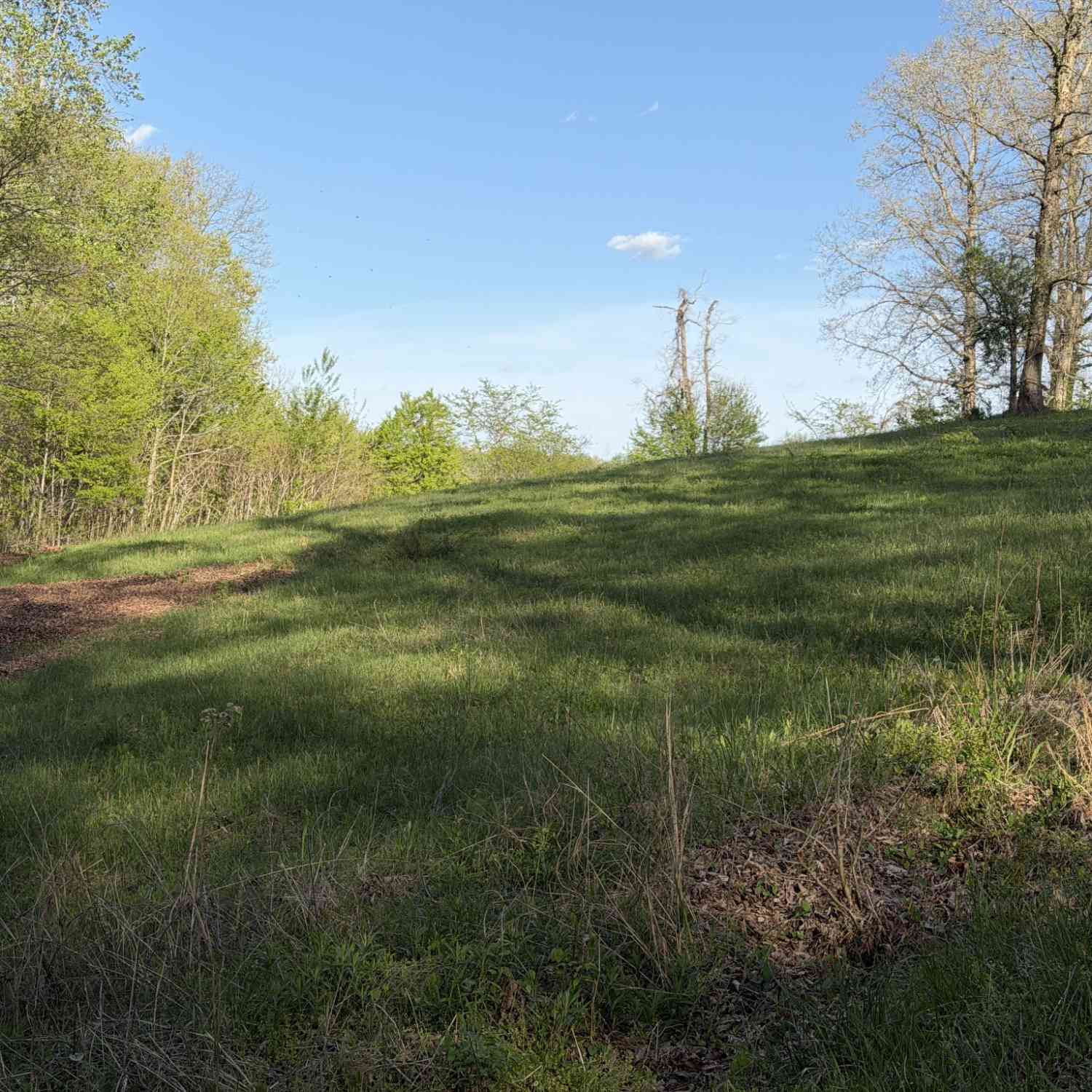 Vacant Land For Sale - Dogwood Drive<br/> Erin, TN 37061