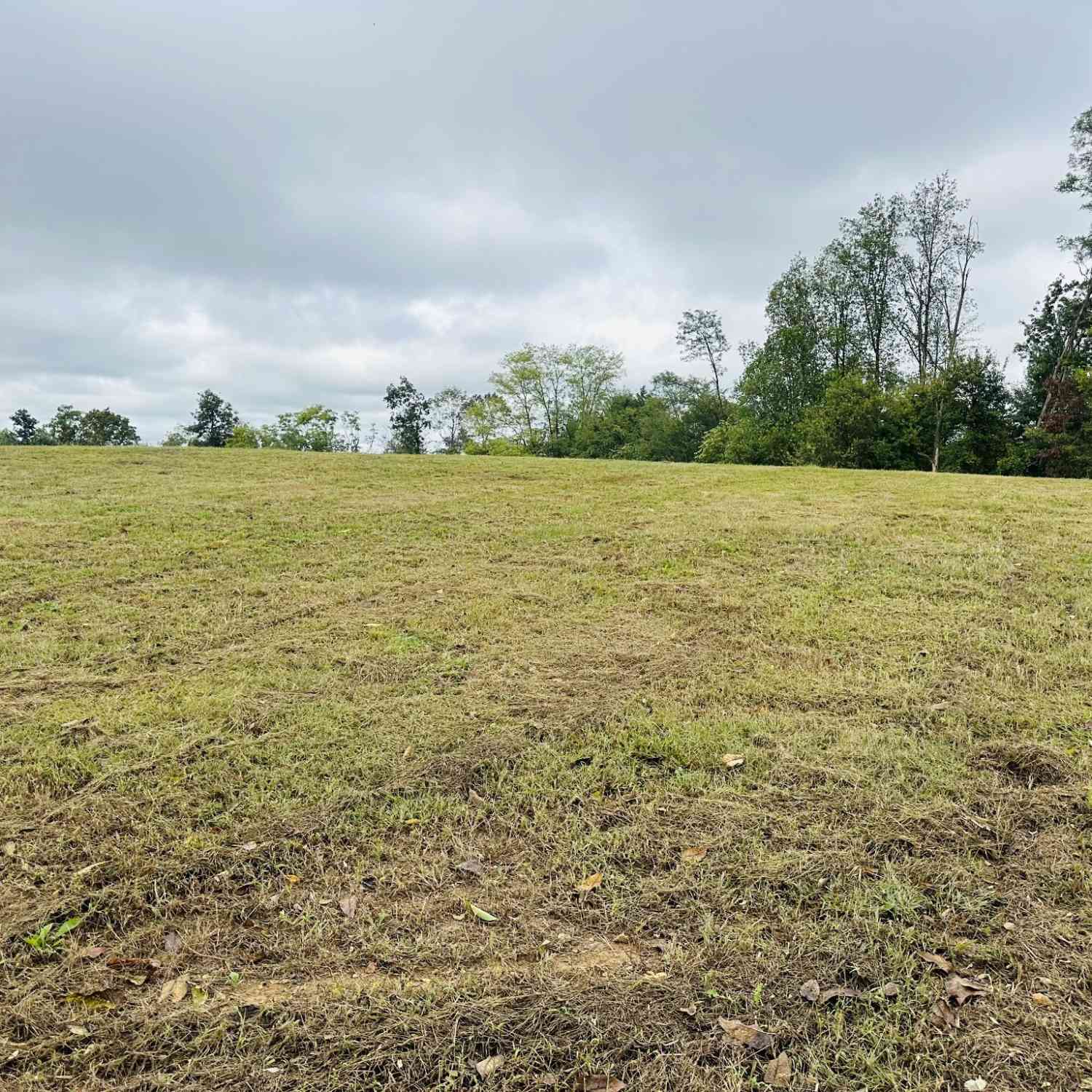 Vacant Land For Sale - 7 Annie Hollow Rd<br/> Macon County, Westmoreland, TN 37186