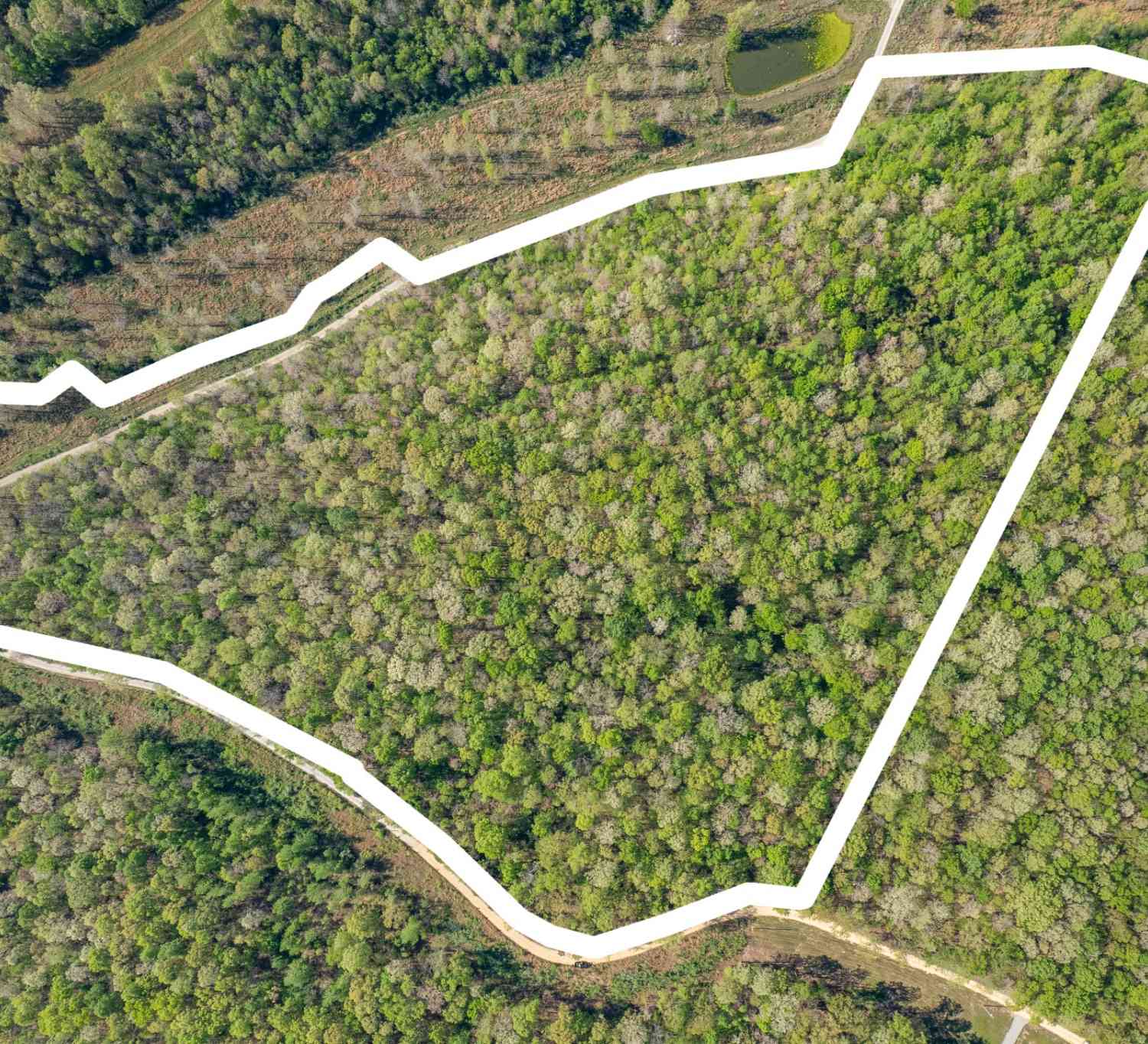 Vacant Land For Sale - Chief Creek Rd<br/> Lawrence County County, Lawrenceburg, TN 38464