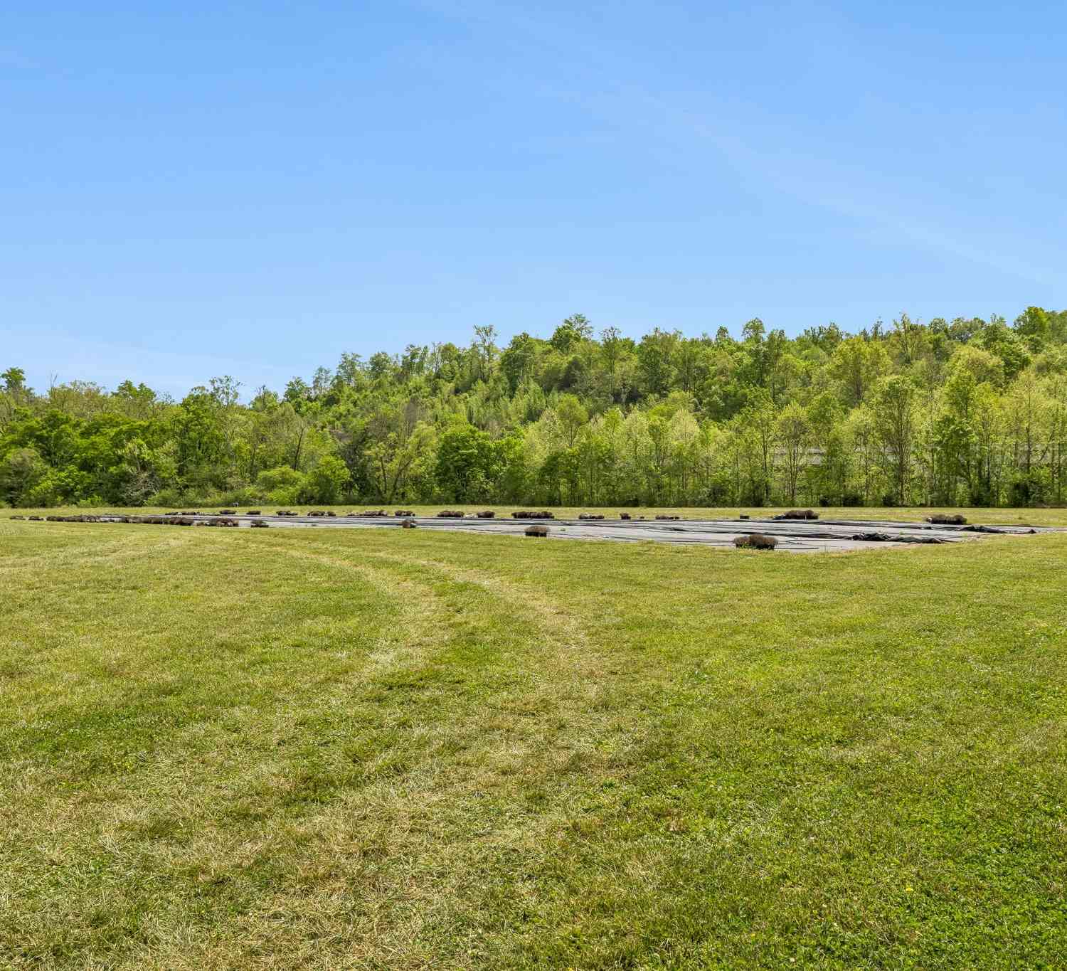 Homes For Sale - 2461 Bodenham Rd<br/> Giles County County, Pulaski, TN 38478