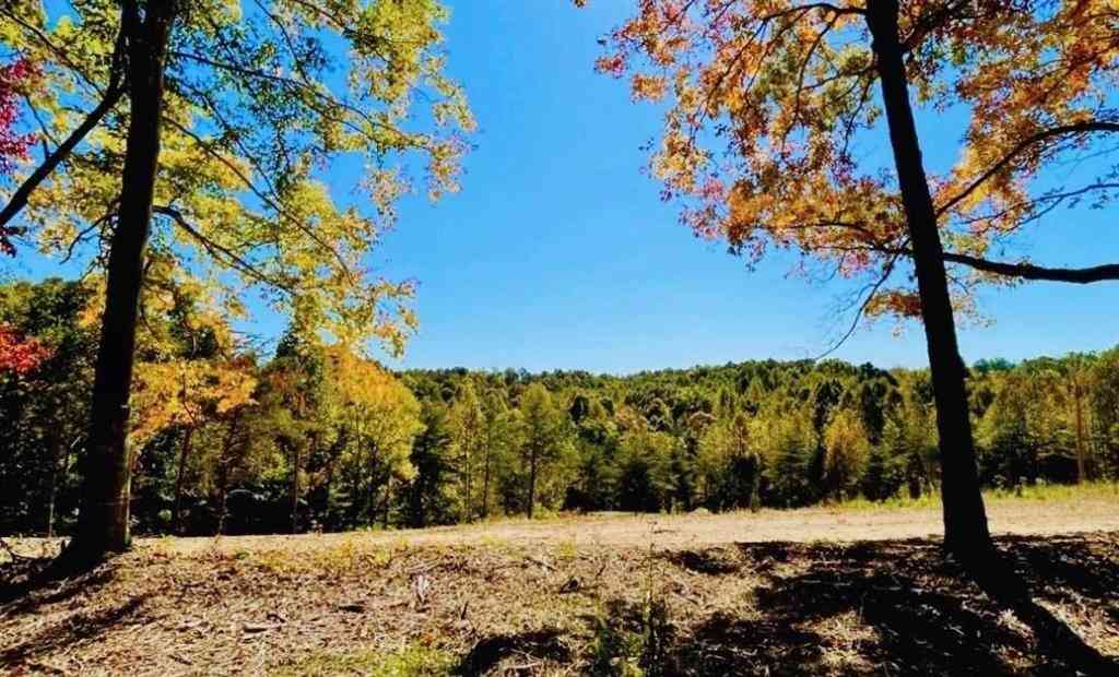 Vacant Land For Sale - State Park Road<br/> Burkesville, KY 42717