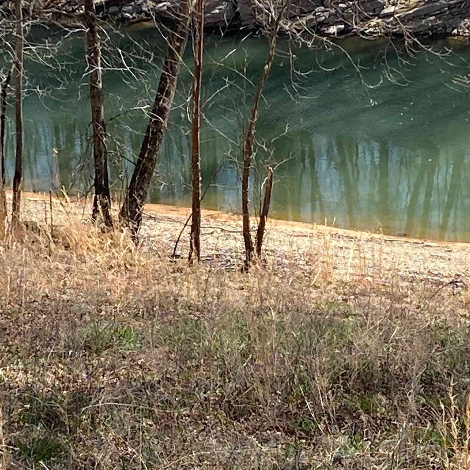 Vacant Land For Sale - Wagon Lane<br/> Speedwell, TN 37870