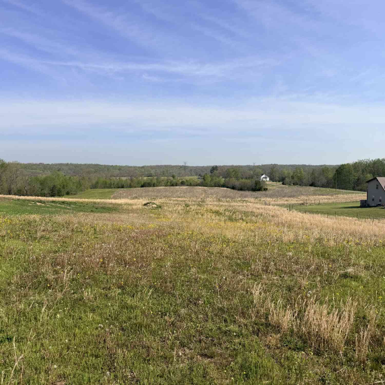 Vacant Land For Sale - Oak Knob Rd<br/> Macon County, Lafayette, TN 37083