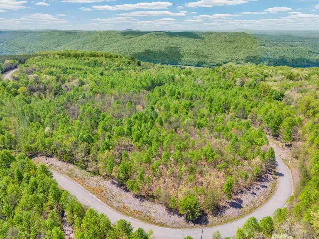 Vacant Land For Sale - Overlook Drive<br/> Van Buren County, Spencer, TN 38585