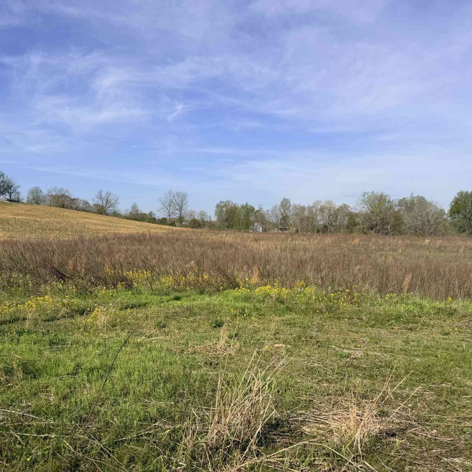 Vacant Land For Sale - Oakmere Ln<br/> Macon County, Lafayette, TN 37083