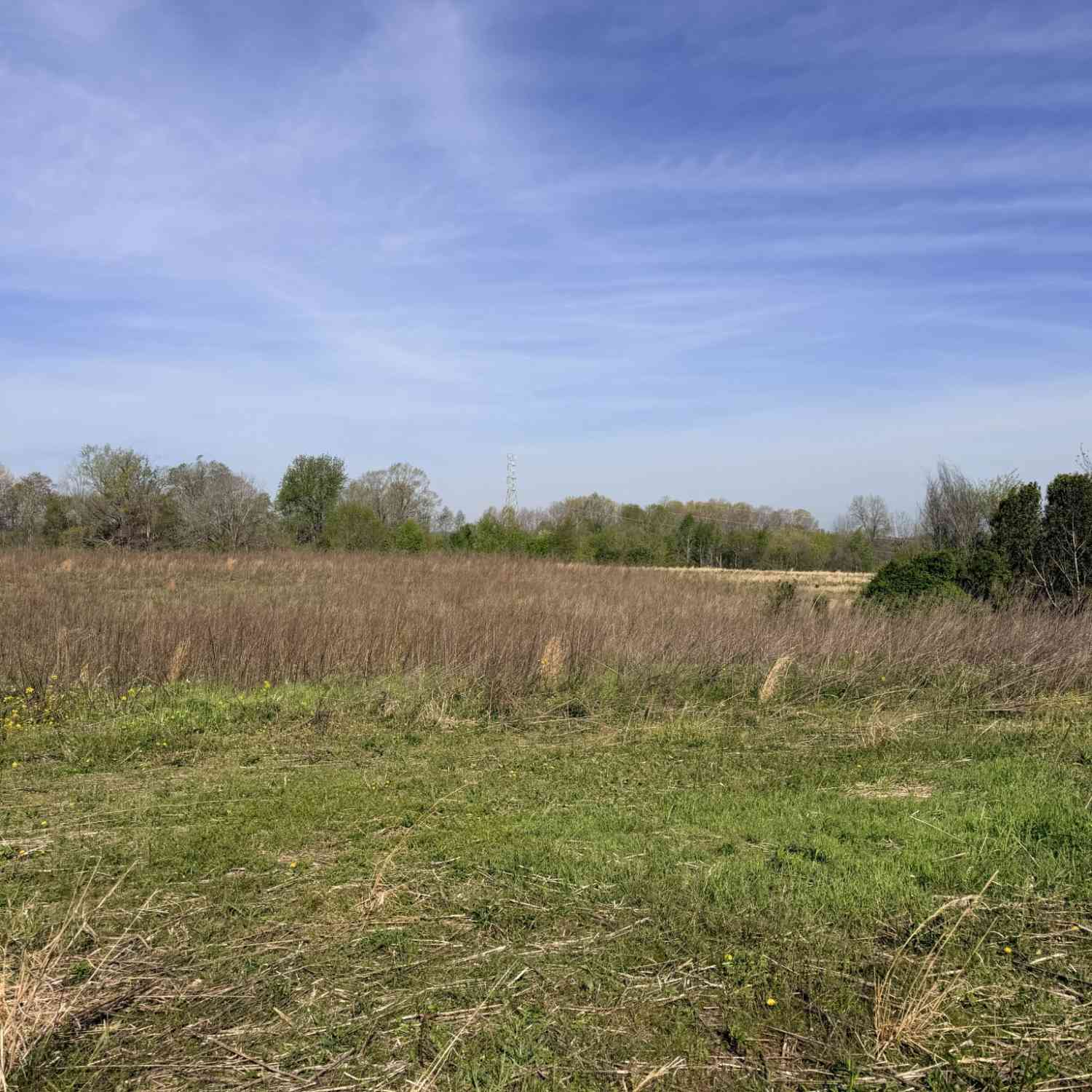Vacant Land For Sale - Oakmere Ln<br/> Macon County, Lafayette, TN 37083