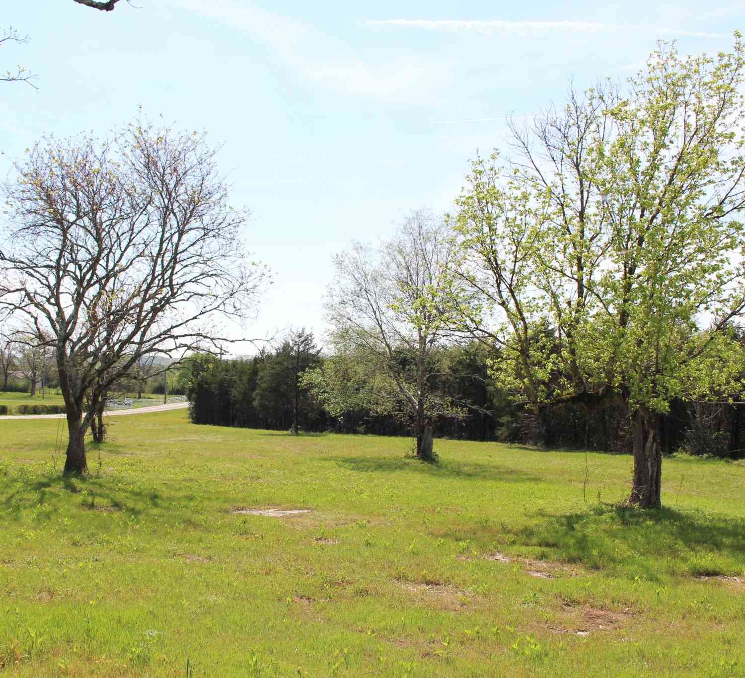 Vacant Land For Sale - 9651 Halls Hill Pike<br/> Milton, TN 37118