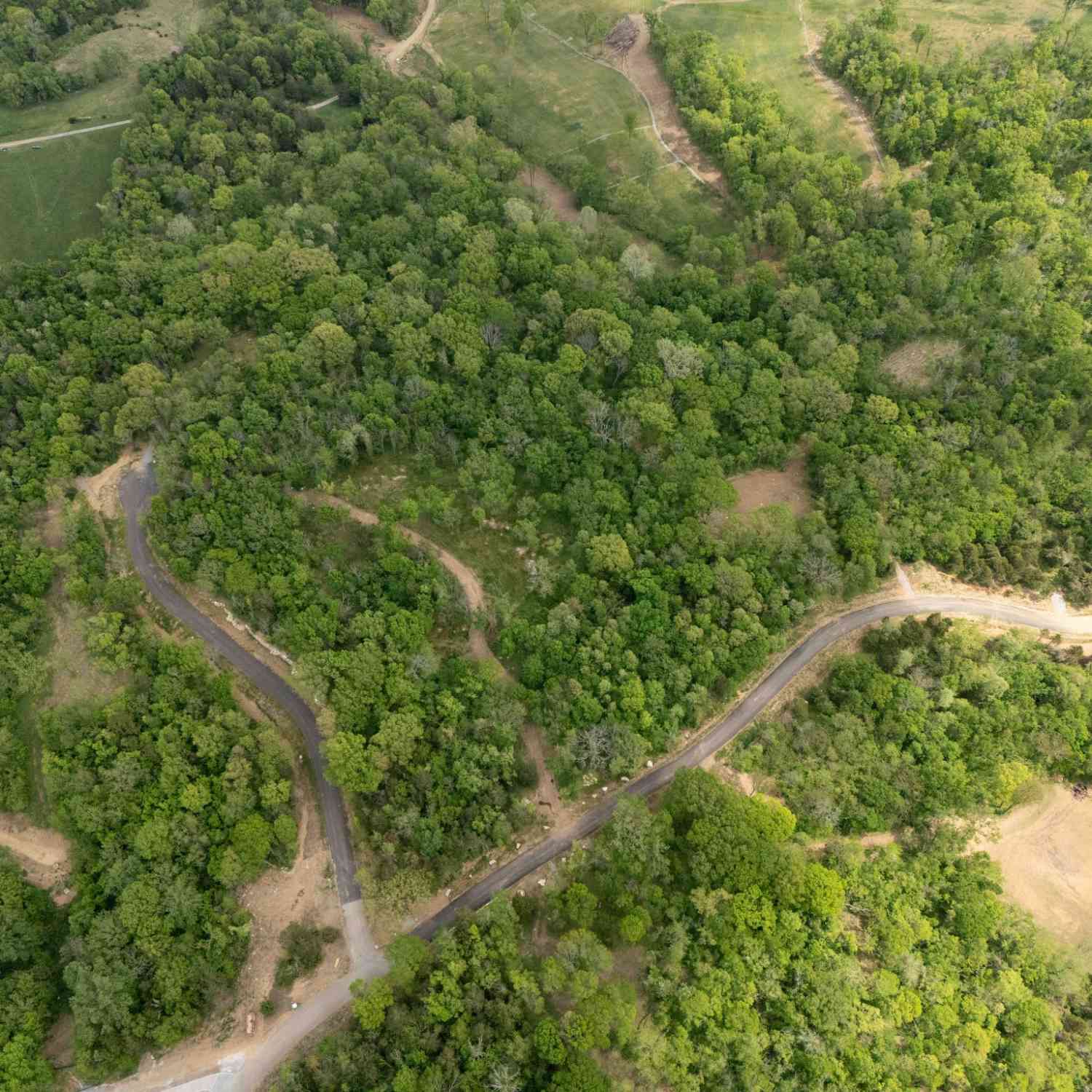 Vacant Land For Sale - 8108 Fox Wander Trail<br/> Arrington, TN 37014