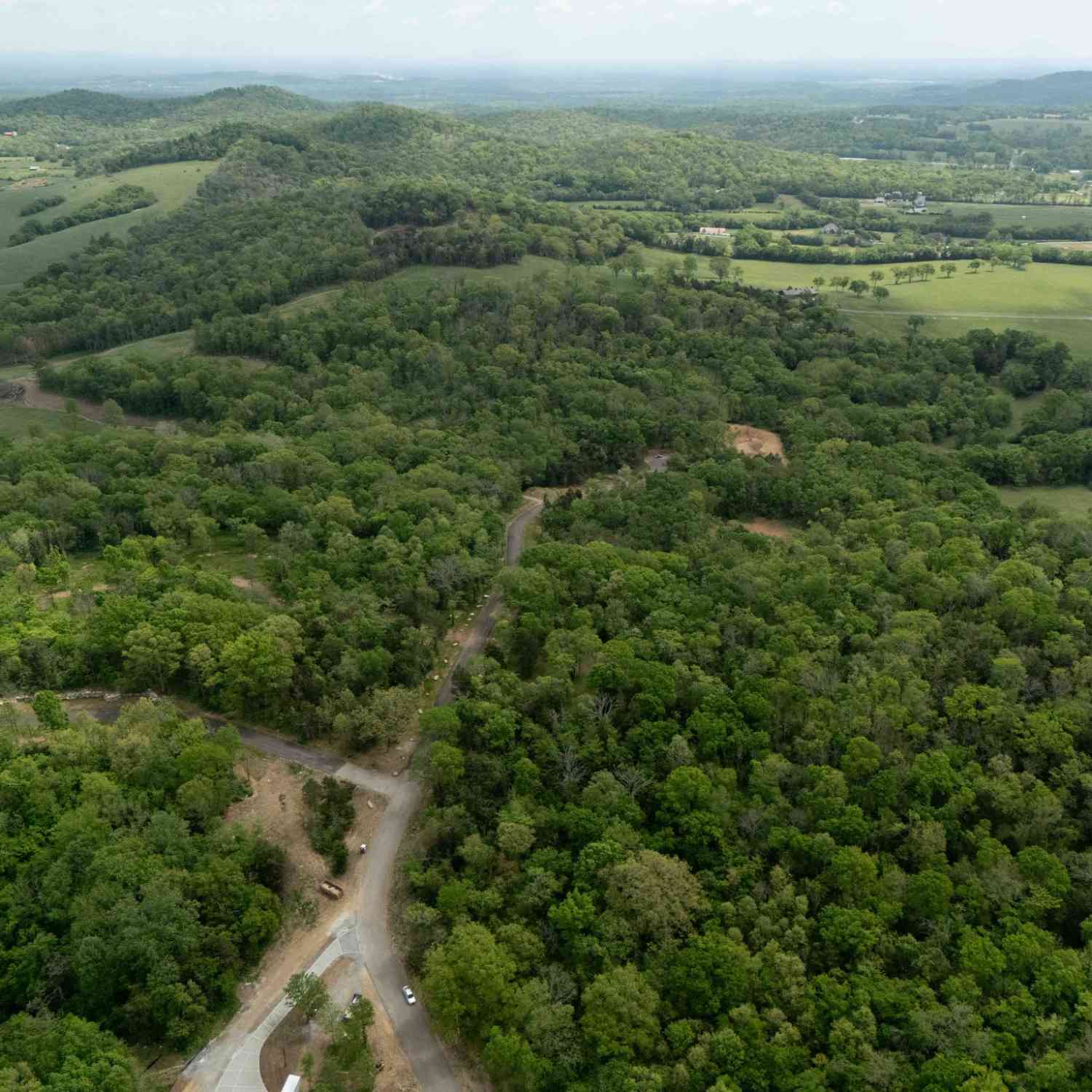 Vacant Land For Sale - 8021 Wilder Pass<br/> Arrington, TN 37014