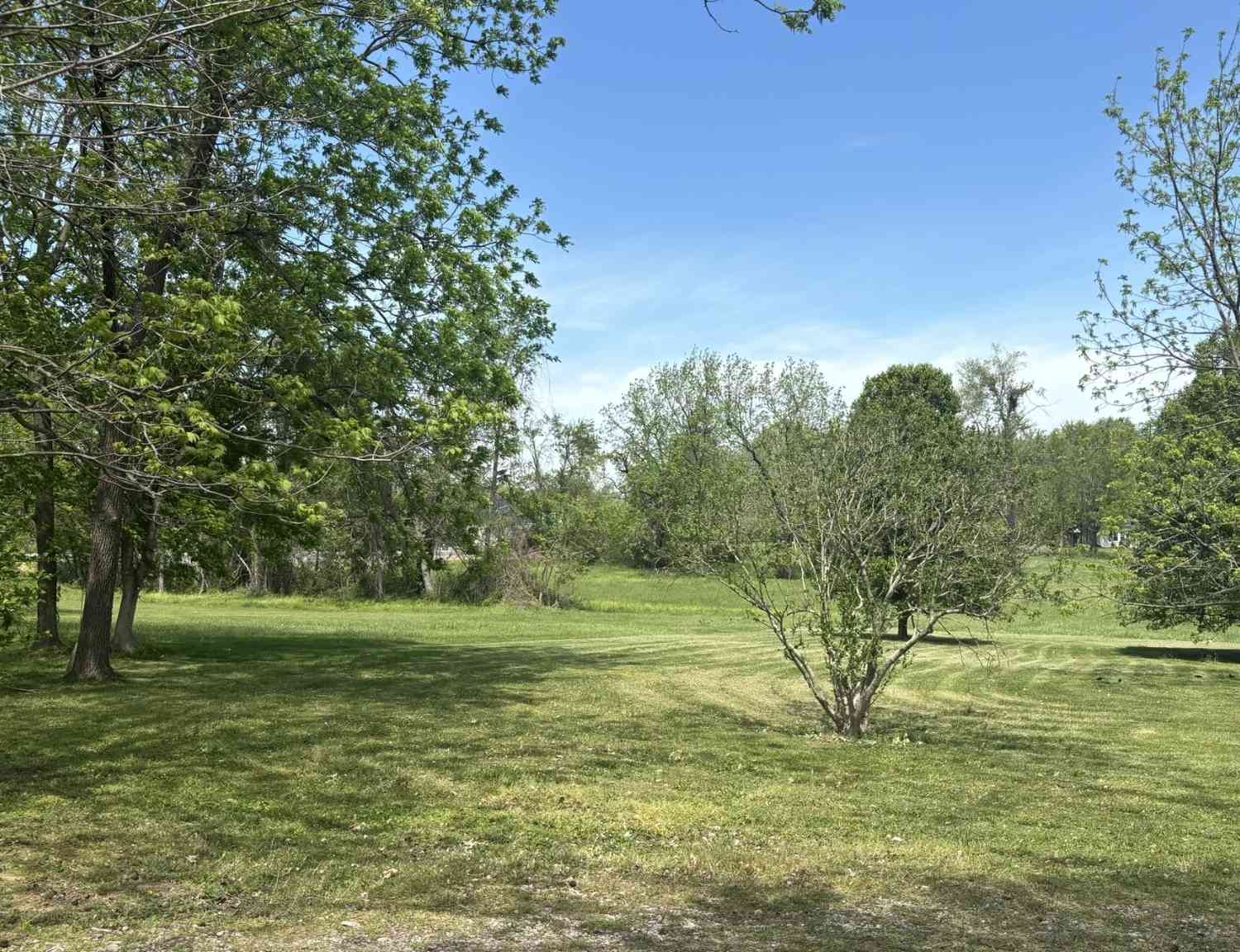 Vacant Land For Sale - 408 College St<br/> Macon County, Lafayette, TN 37083