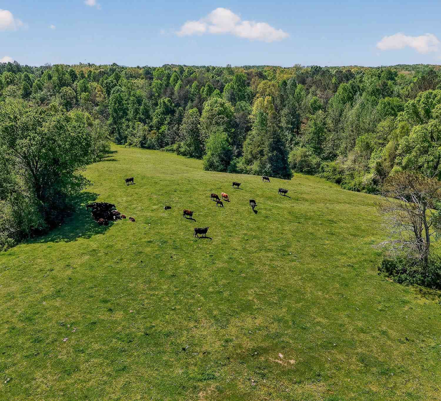 Vacant Land For Sale - Corinth Church Rd<br/> Dekalb County, Rock Island, TN 38581