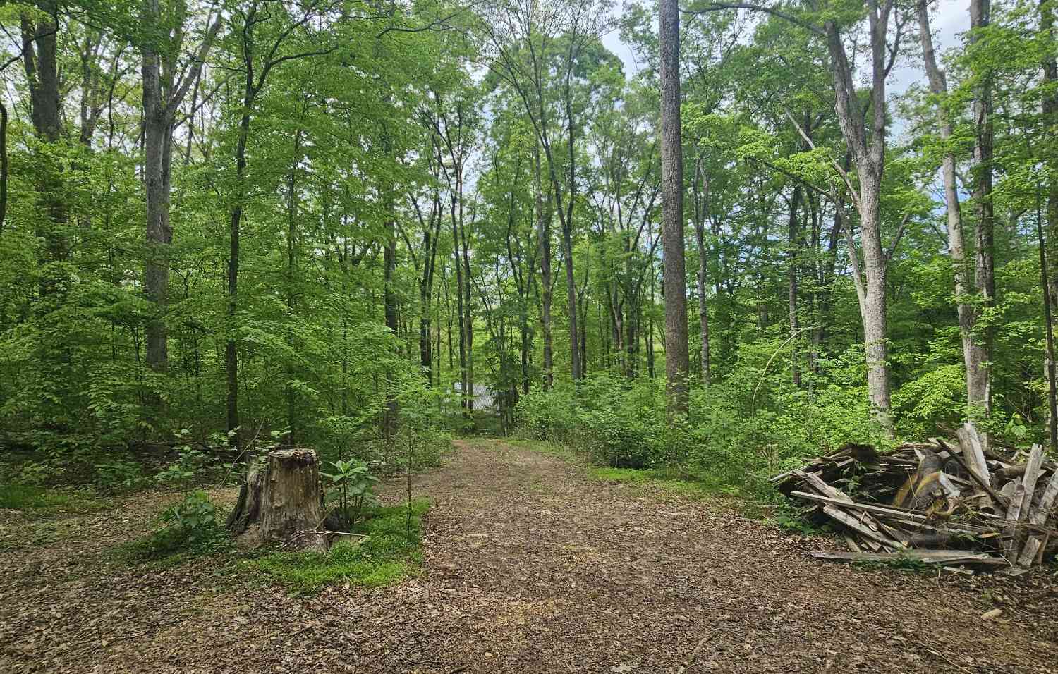 Vacant Land For Sale - 2225 Caney Branch Rd<br/> Stewart, TN 37175