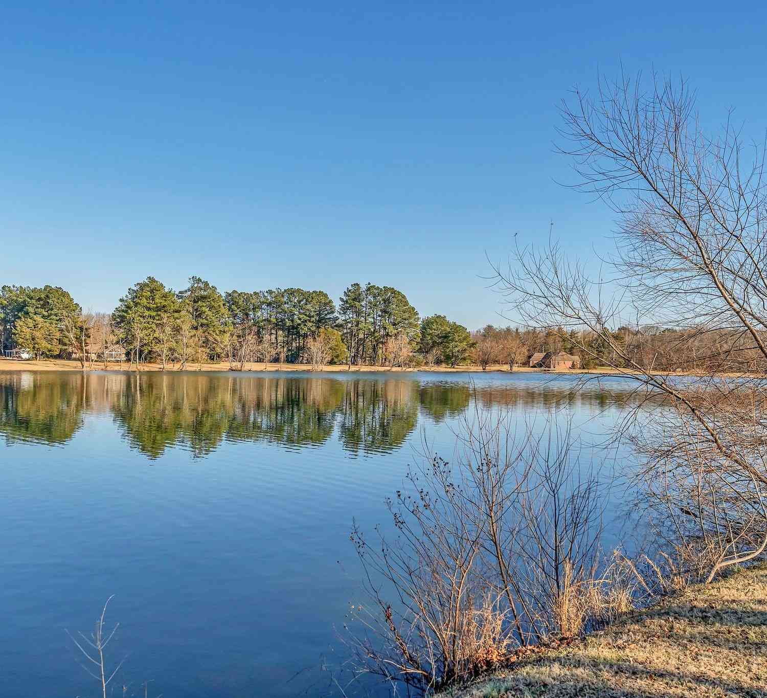 Vacant Land For Sale - 1020 Bunker Hill Dr<br/> Arrington, TN 37014