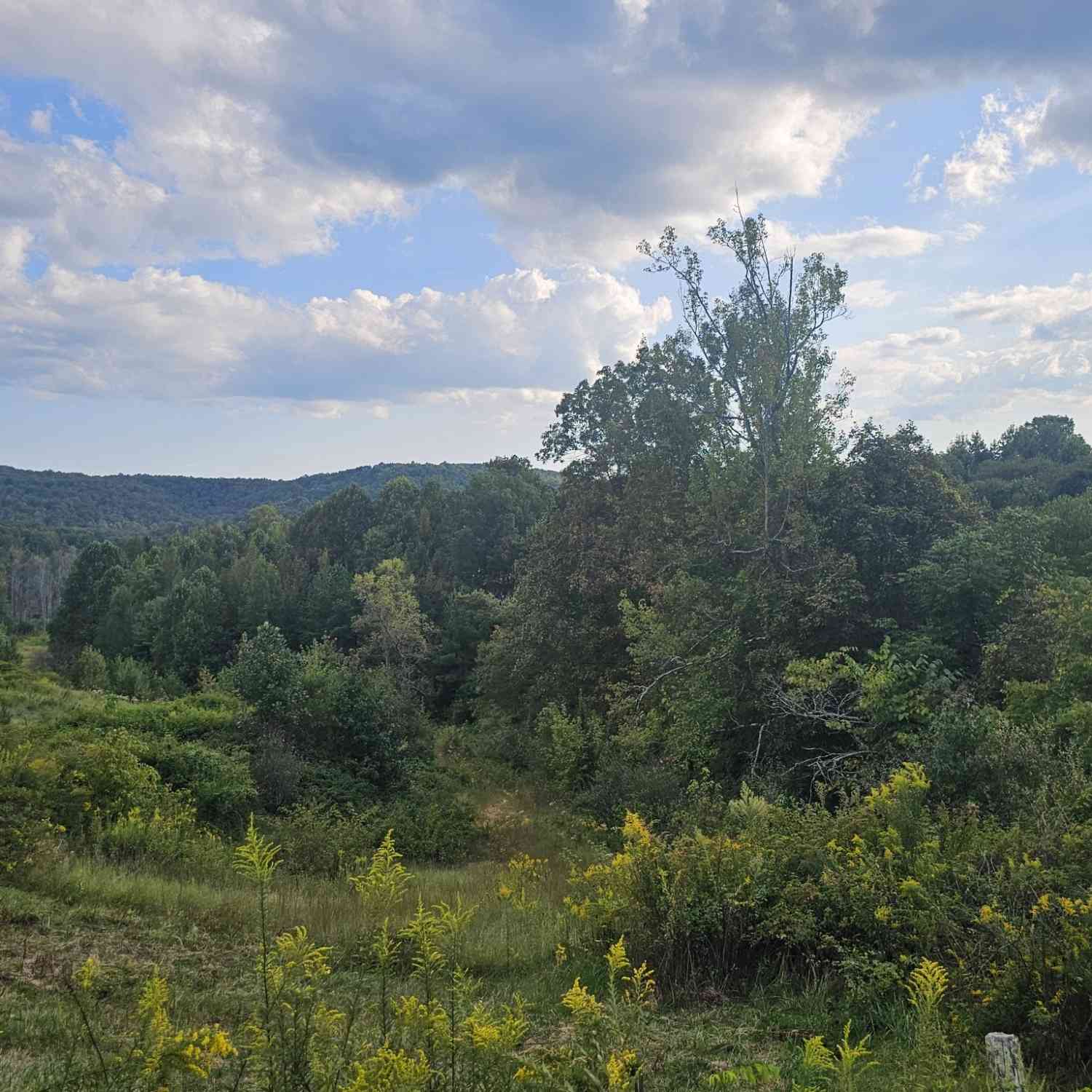 Vacant Land For Sale - 1970 Rock Ave<br/> Palmer, TN 37365