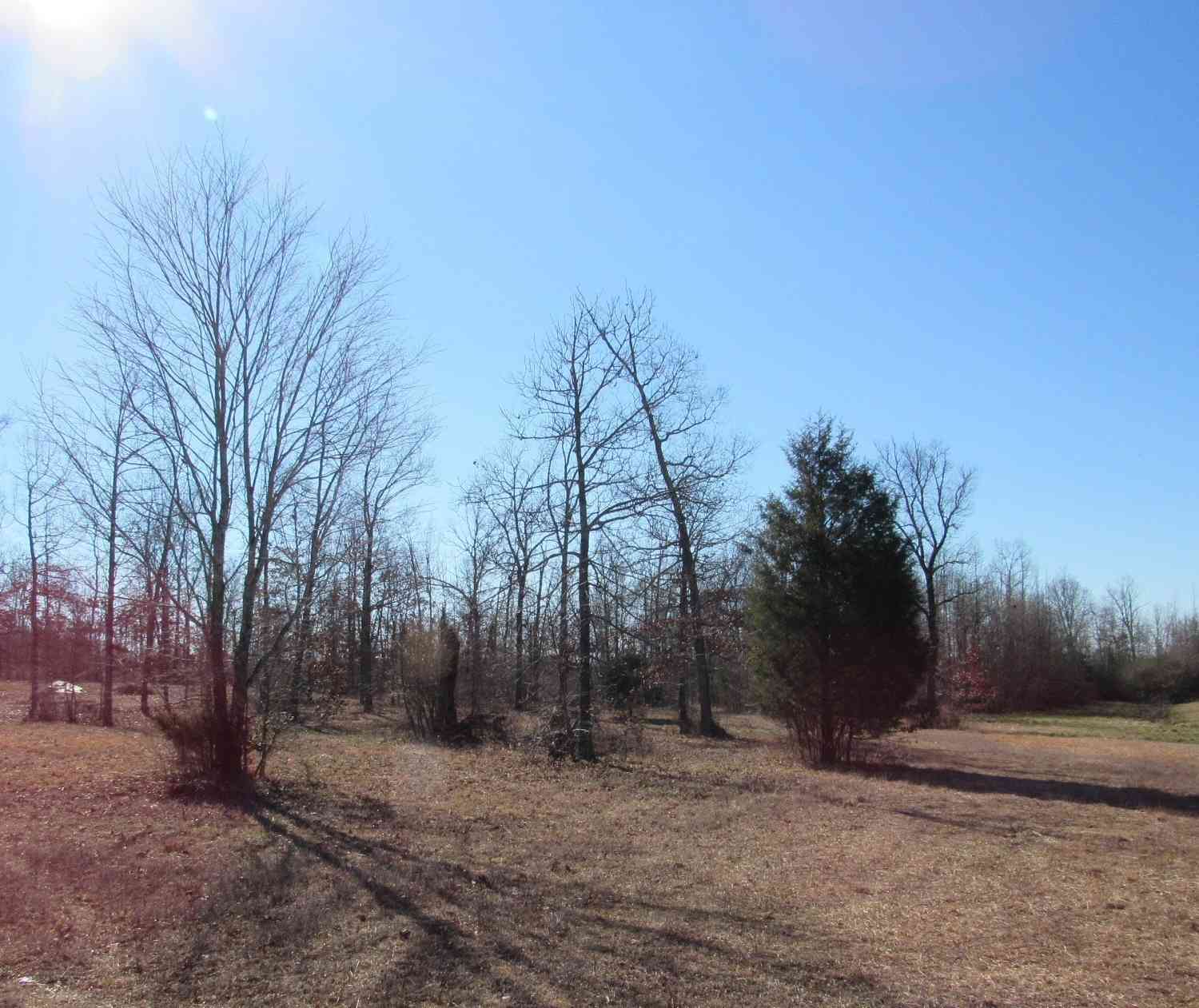 Vacant Land For Sale - 2385 Unionville Deason Rd<br/> Bedford County County, Bell Buckle, TN 37020